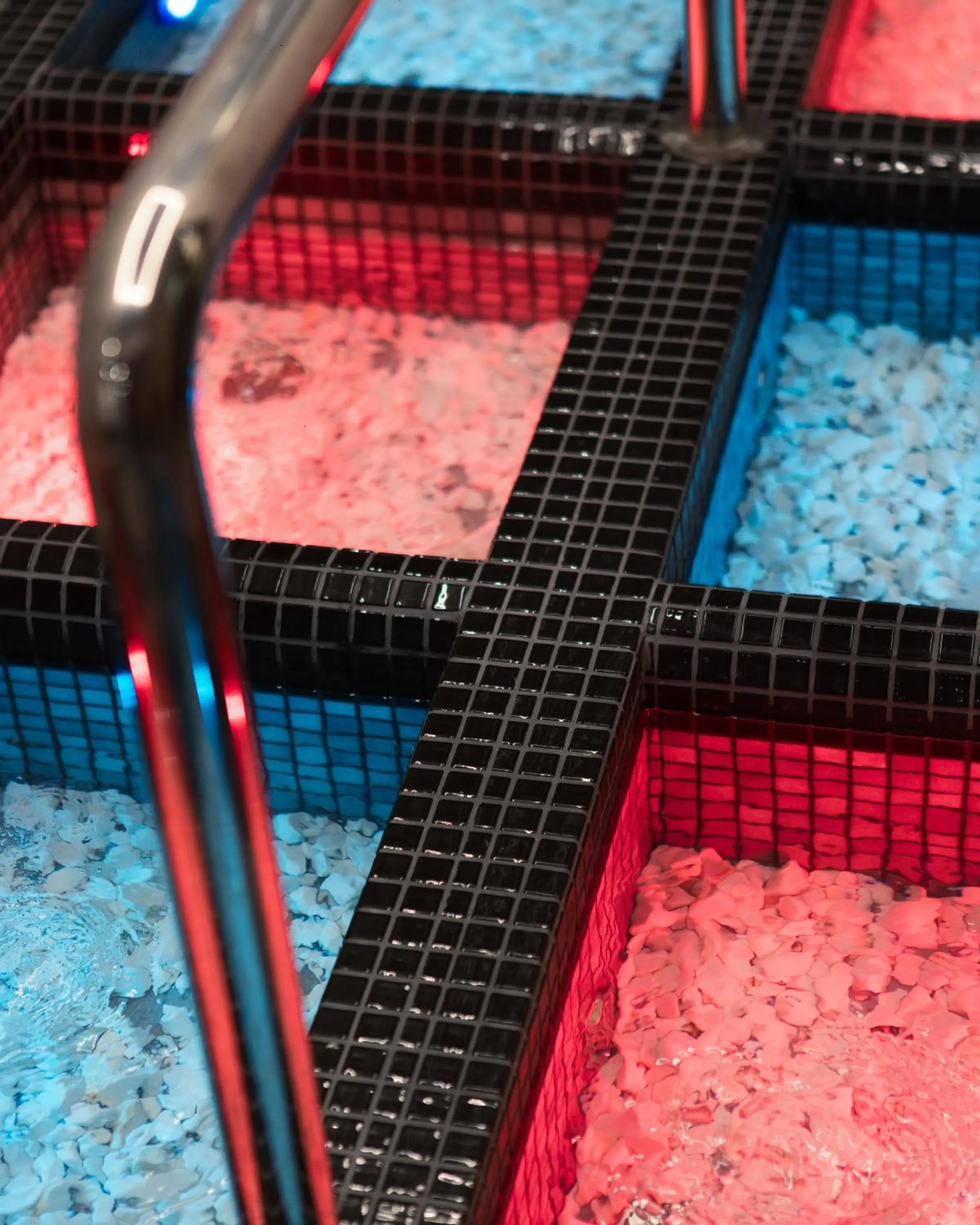 Sauna in Dynasty Hotel & SPA