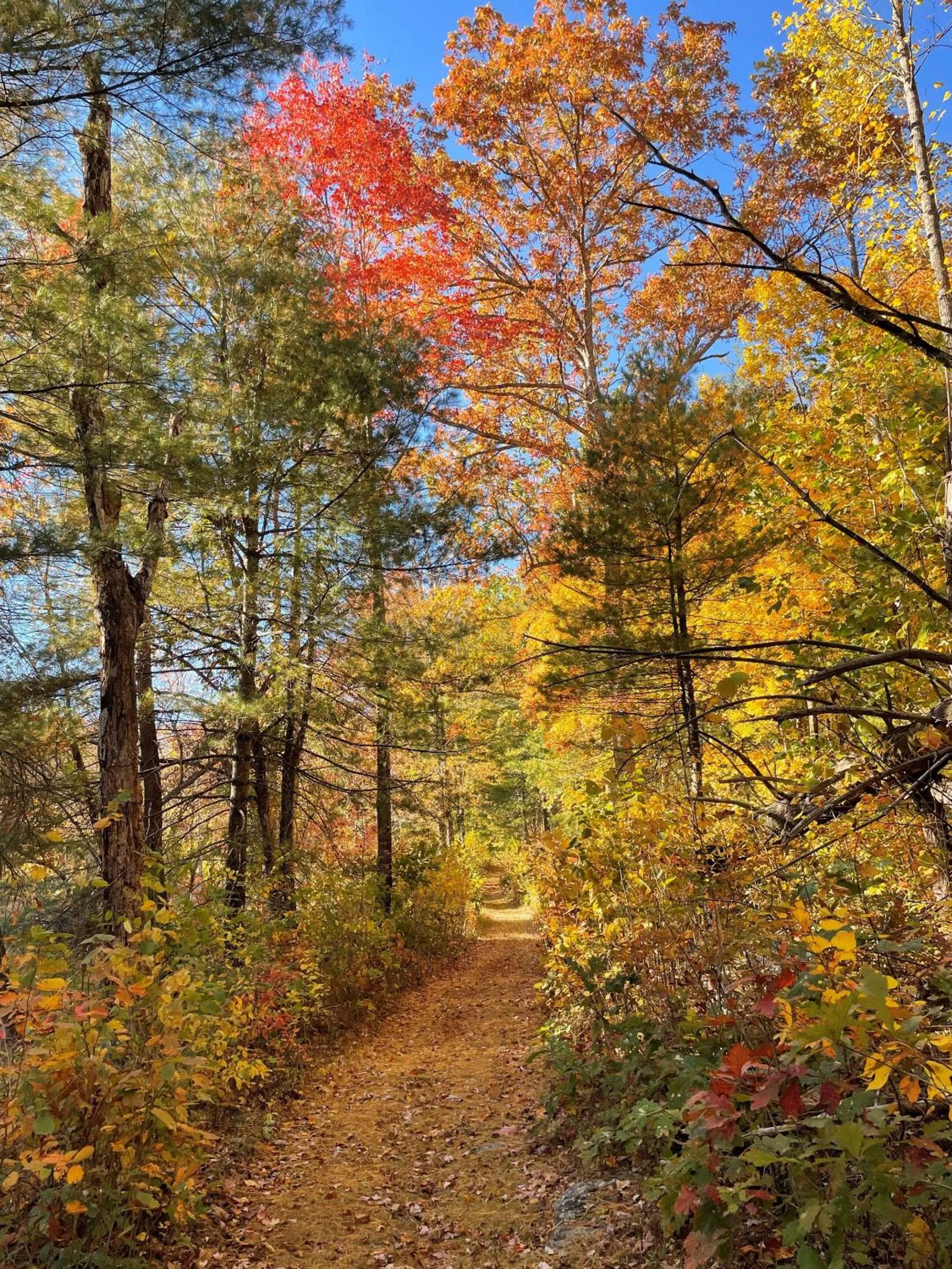 Other in Montfair Resort Farm