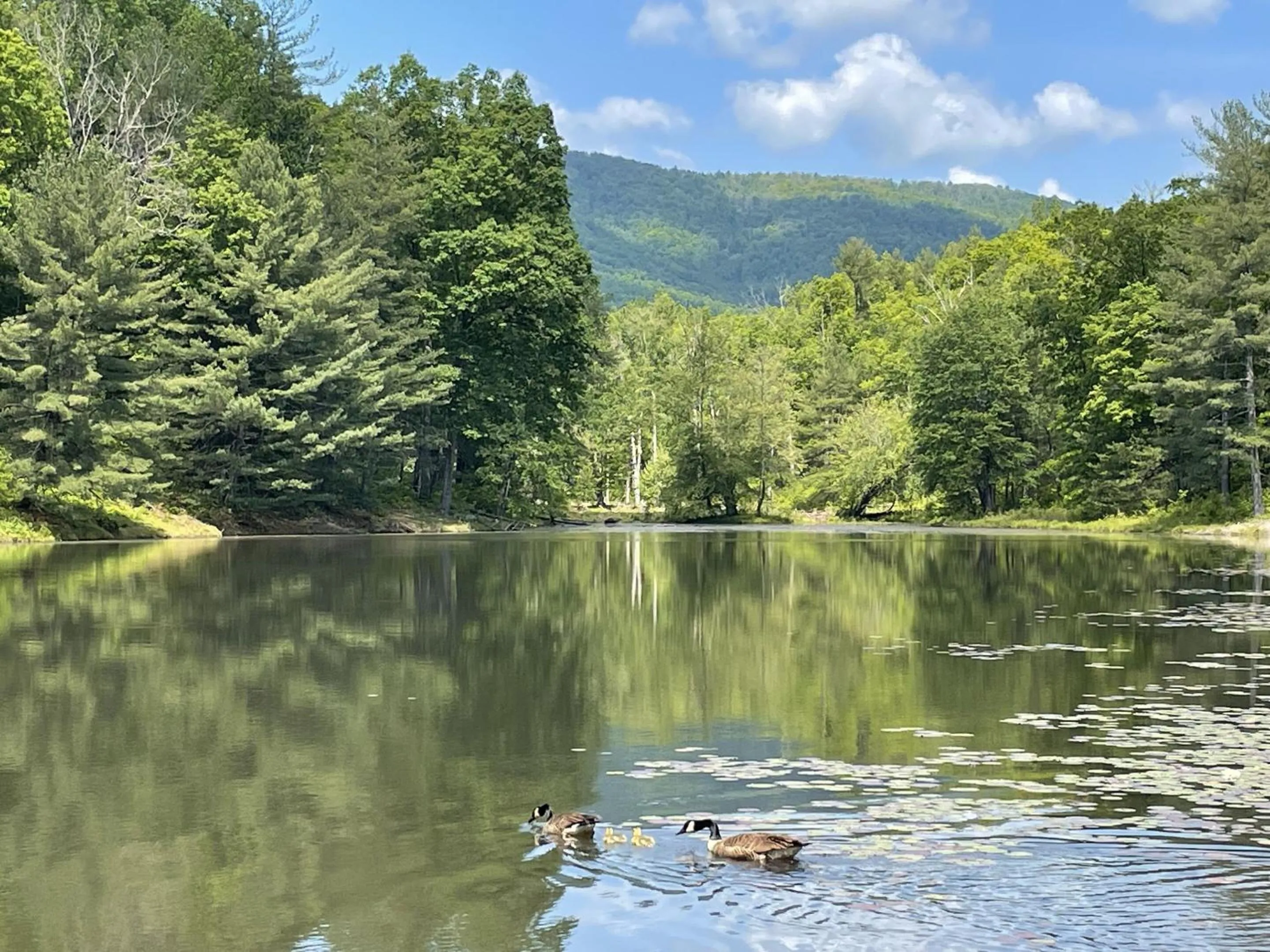 Other in Montfair Resort Farm