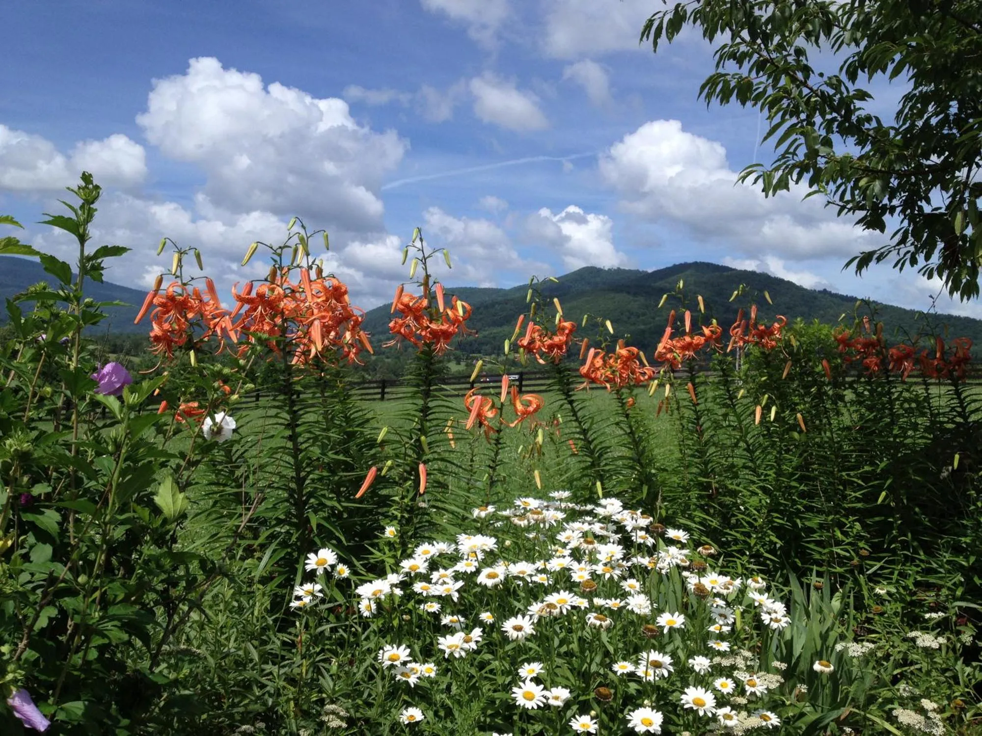 Property building in Montfair Resort Farm