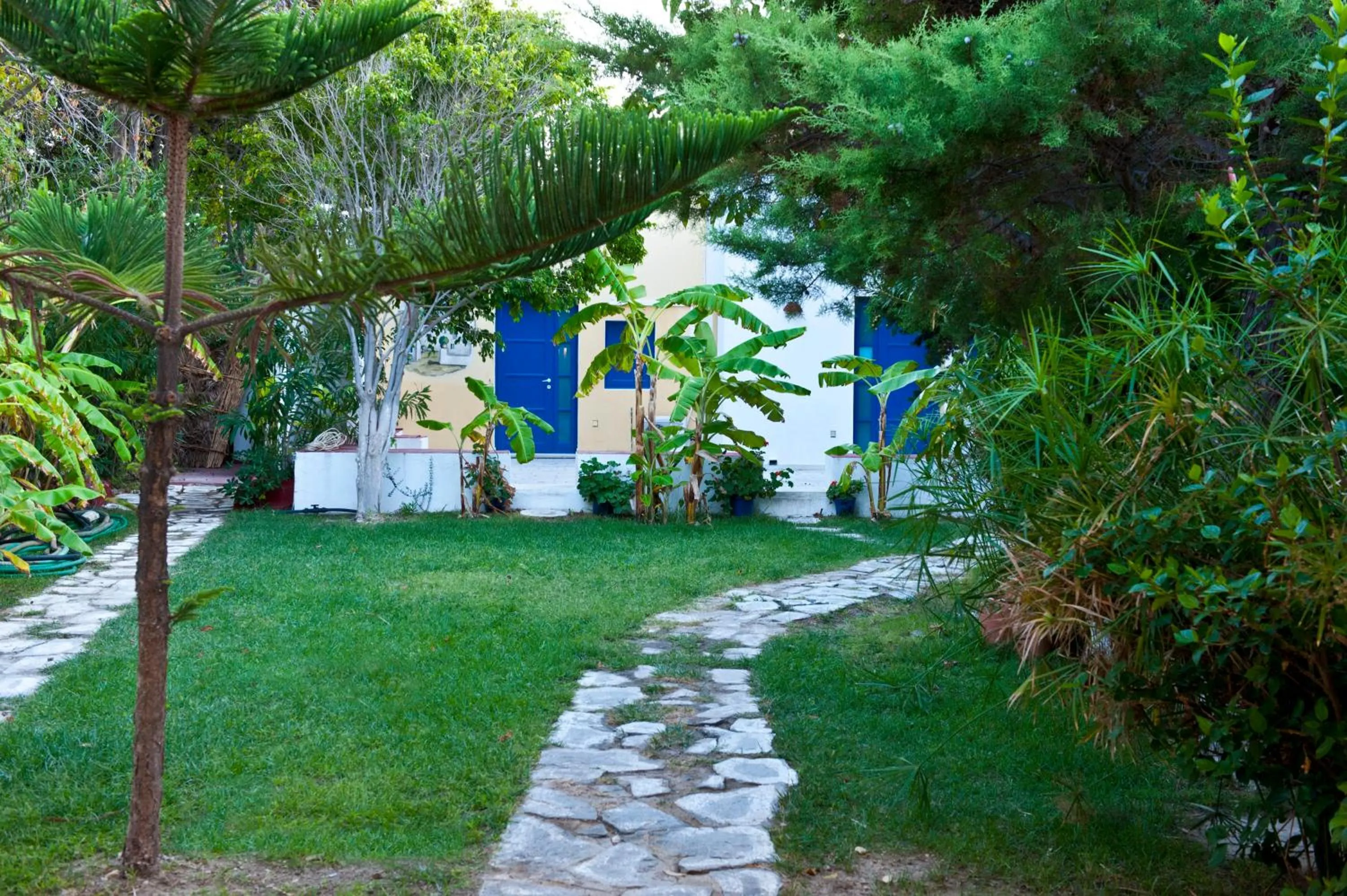 Garden in Casa Di Roma