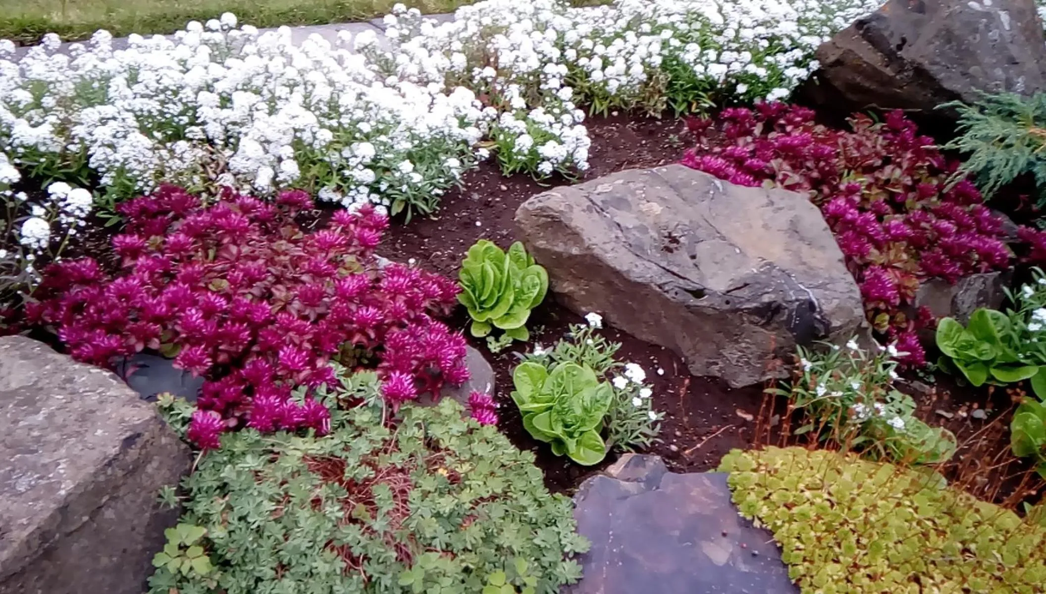Garden in Setrið Guesthouse