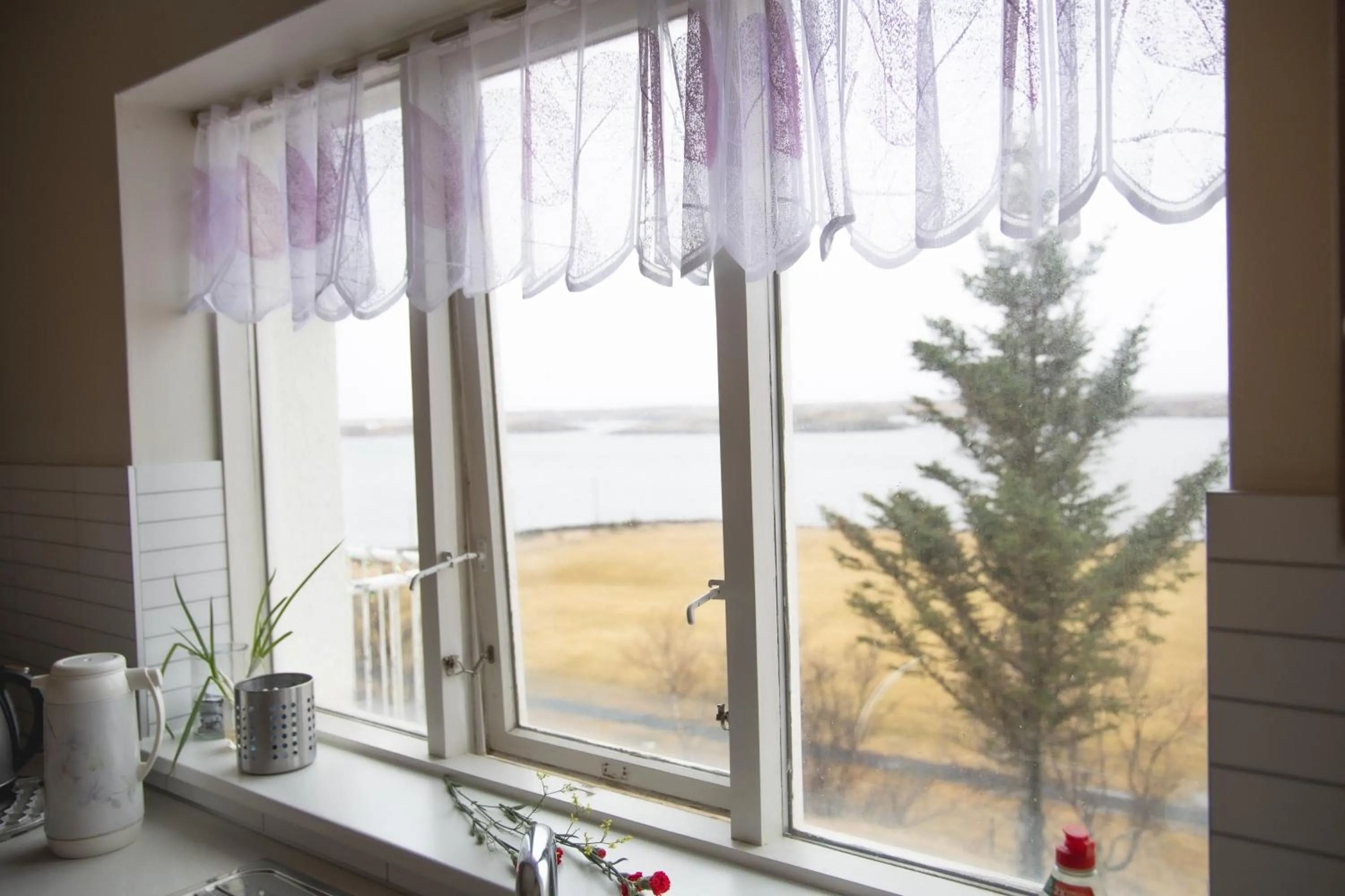 Natural landscape in Setrið Guesthouse