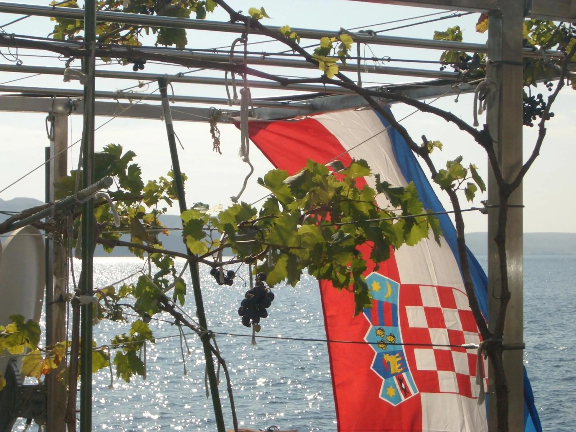 View (from property/room) in Hotel Palace Vrkljan