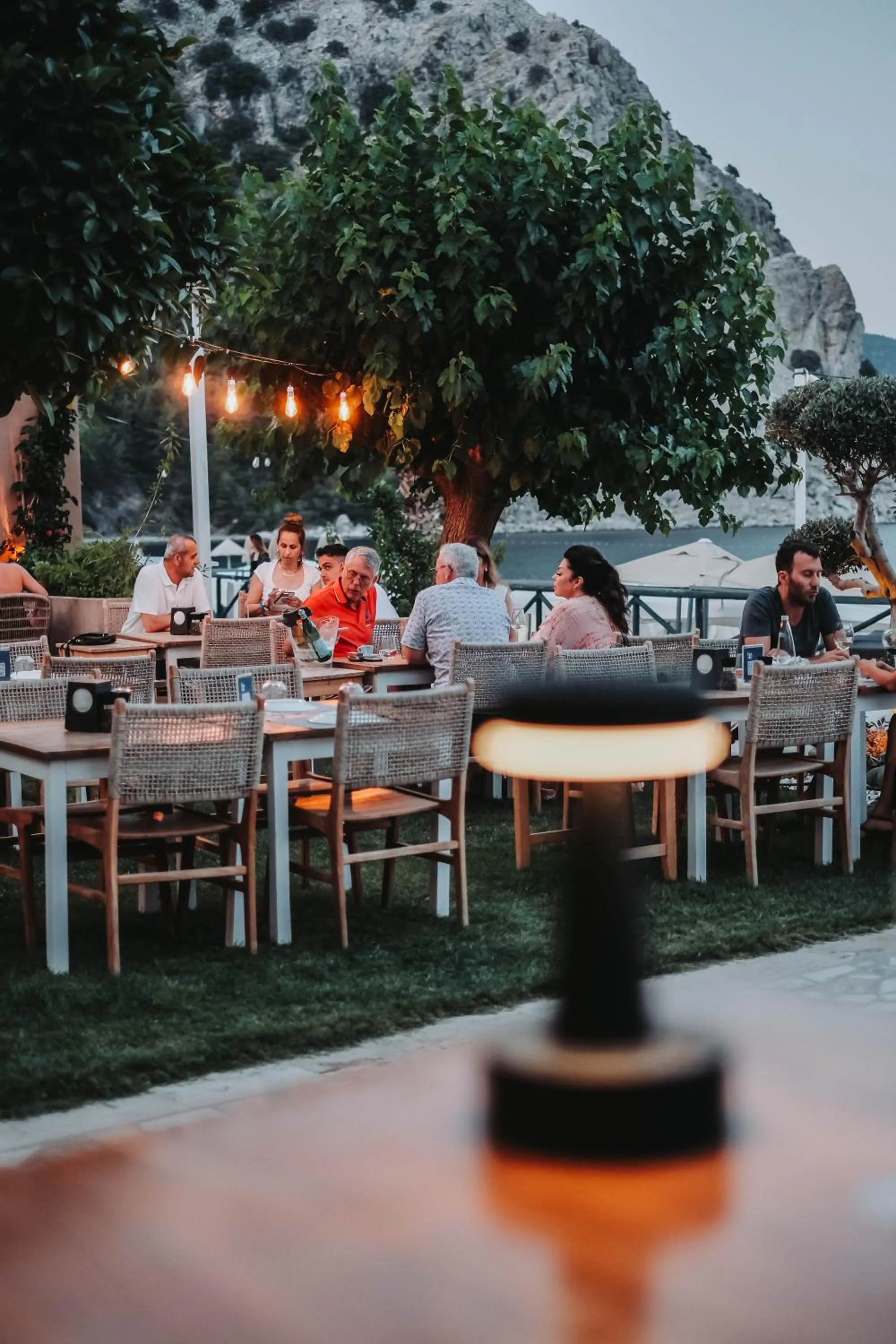 Restaurant/places to eat in The Diplomat Hotel