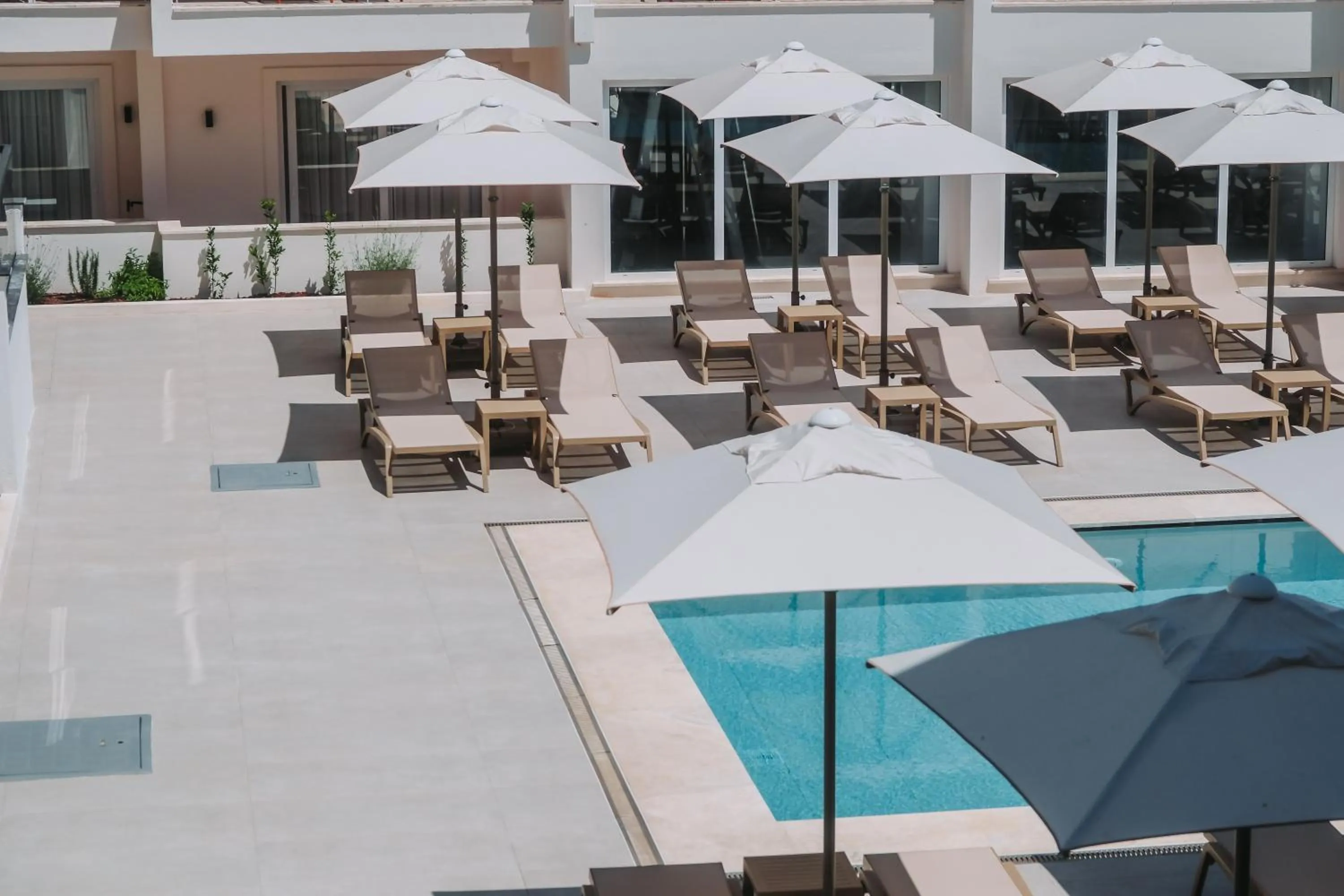 Swimming pool in The Diplomat Hotel