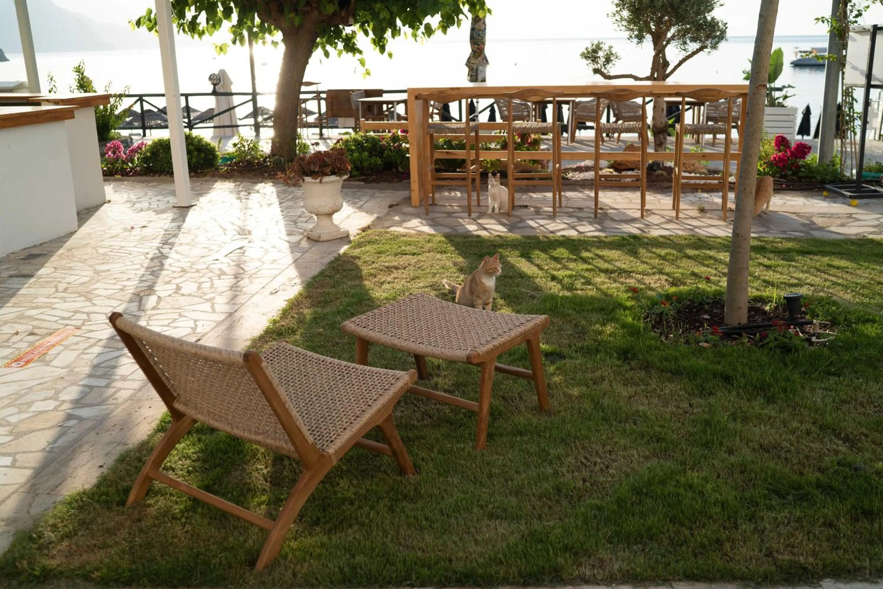 Garden in The Diplomat Hotel