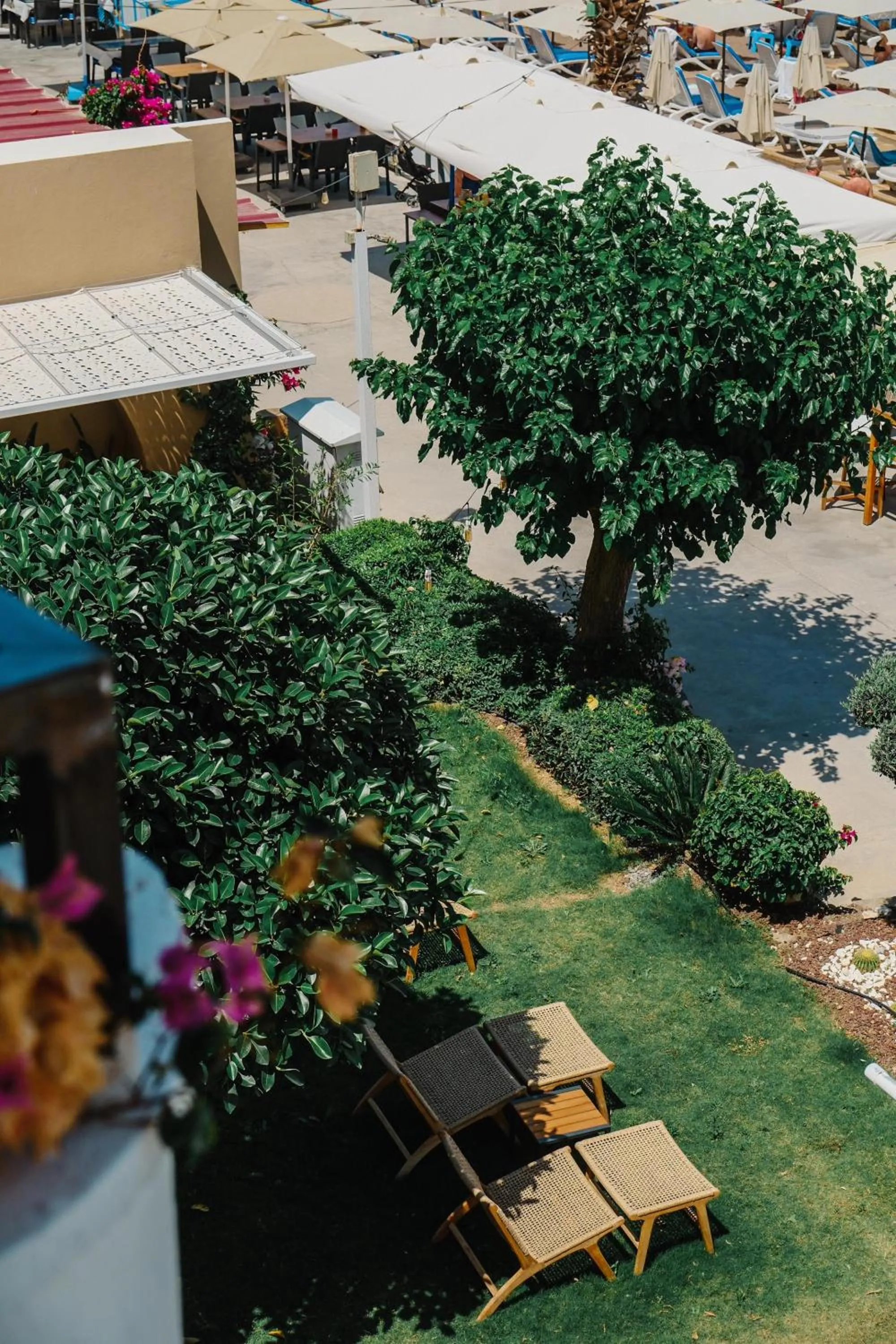 Garden in The Diplomat Hotel