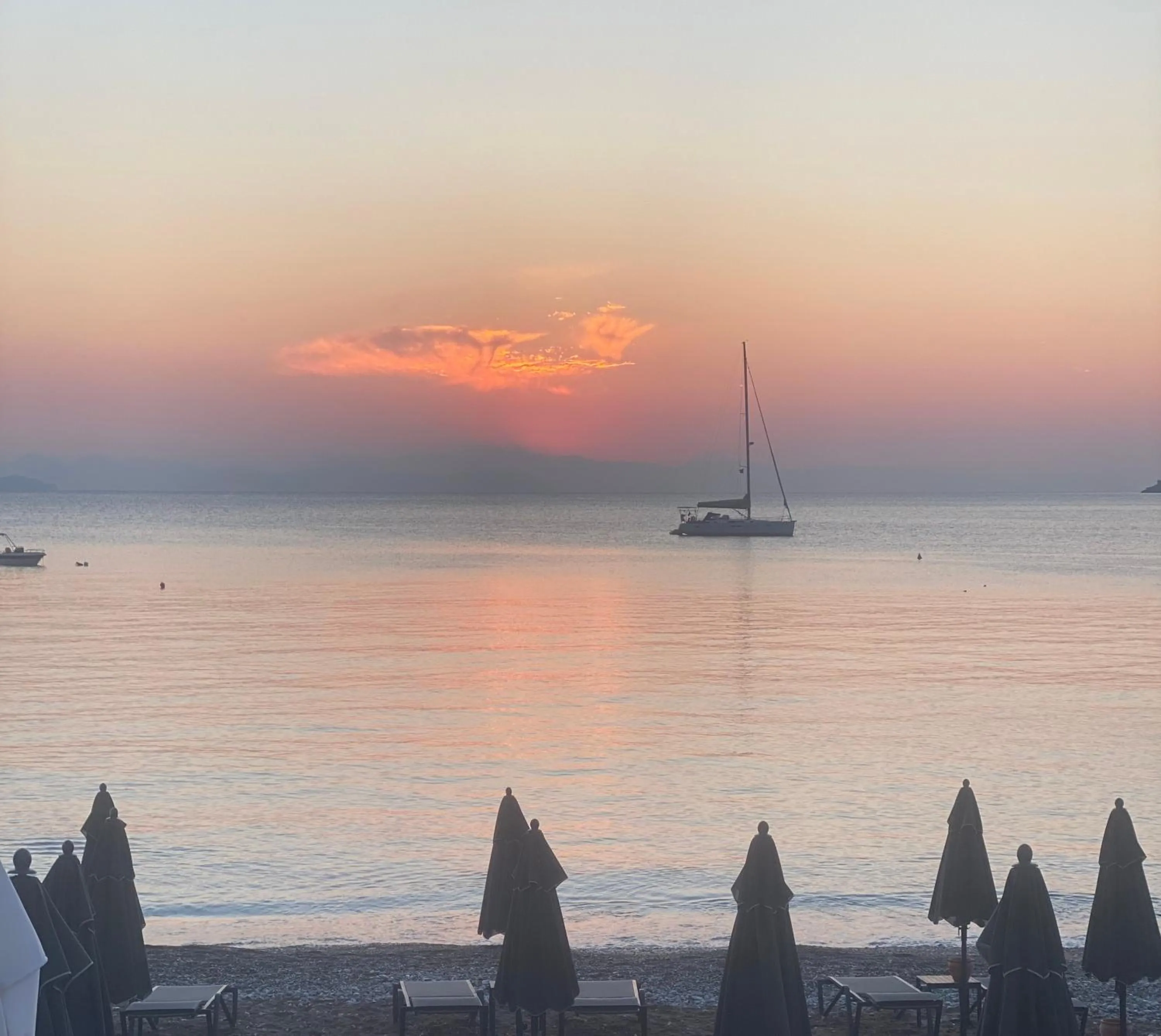 View (from property/room) in The Diplomat Hotel