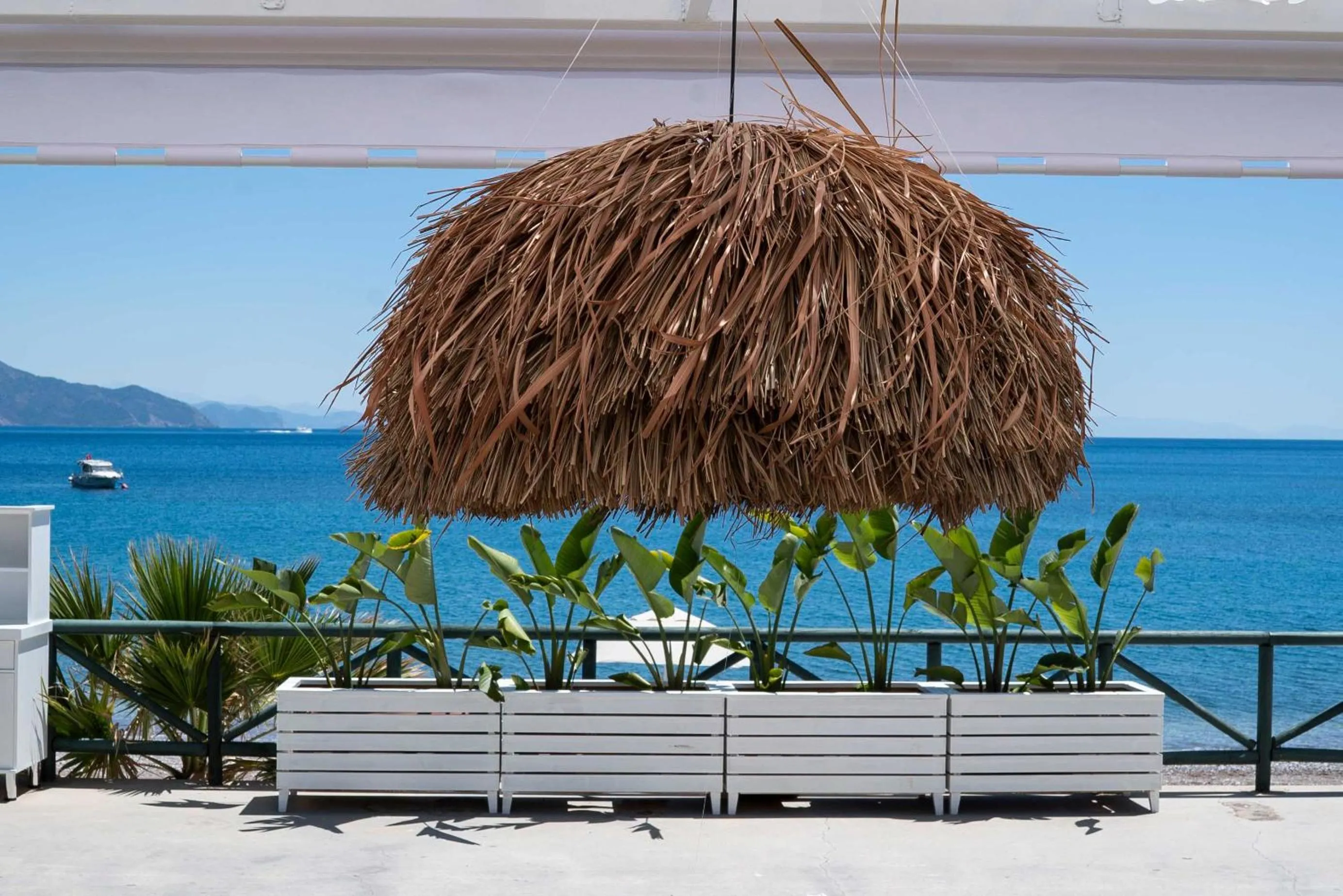 View (from property/room) in The Diplomat Hotel