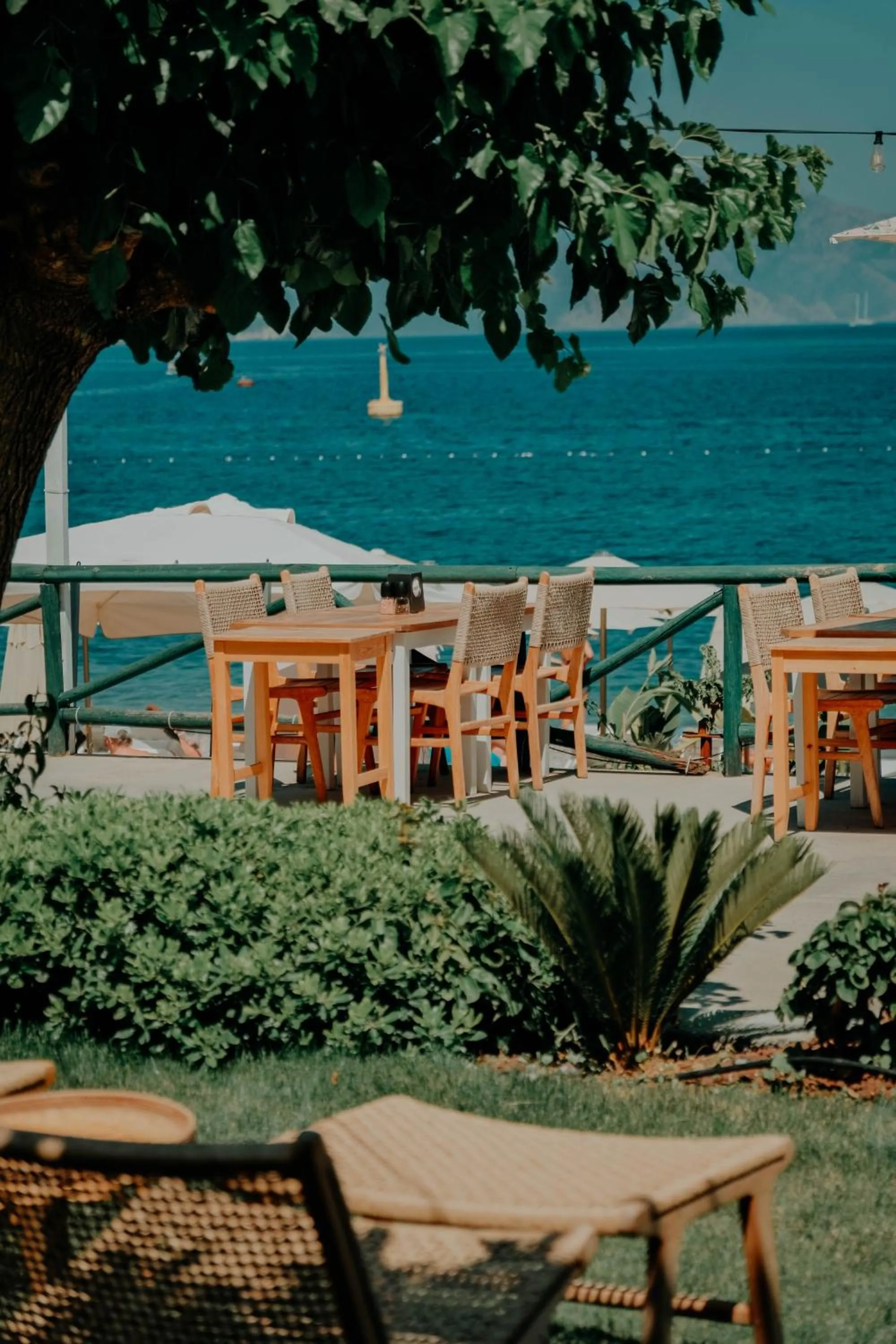 Restaurant/places to eat in The Diplomat Hotel