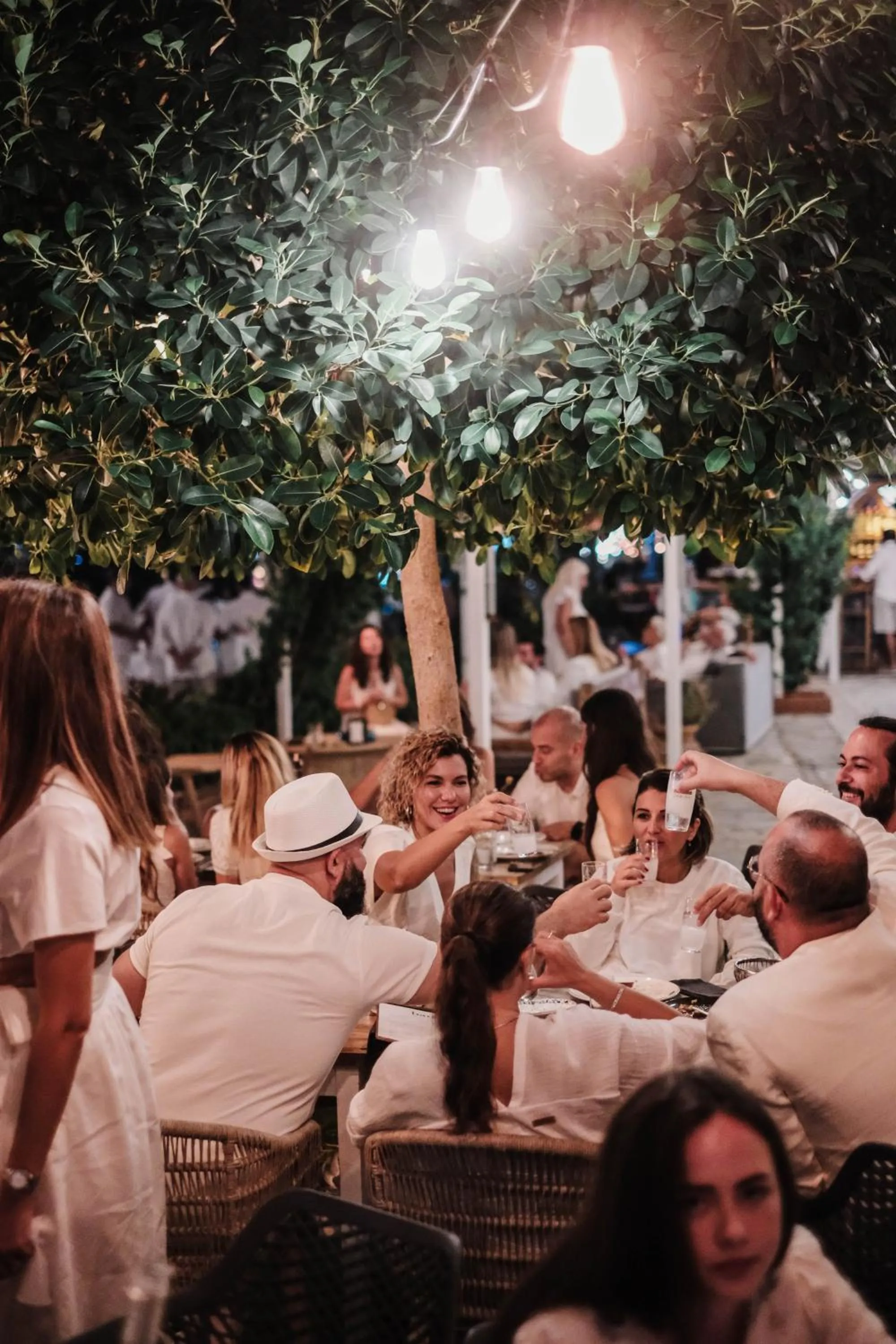 Restaurant/places to eat in The Diplomat Hotel