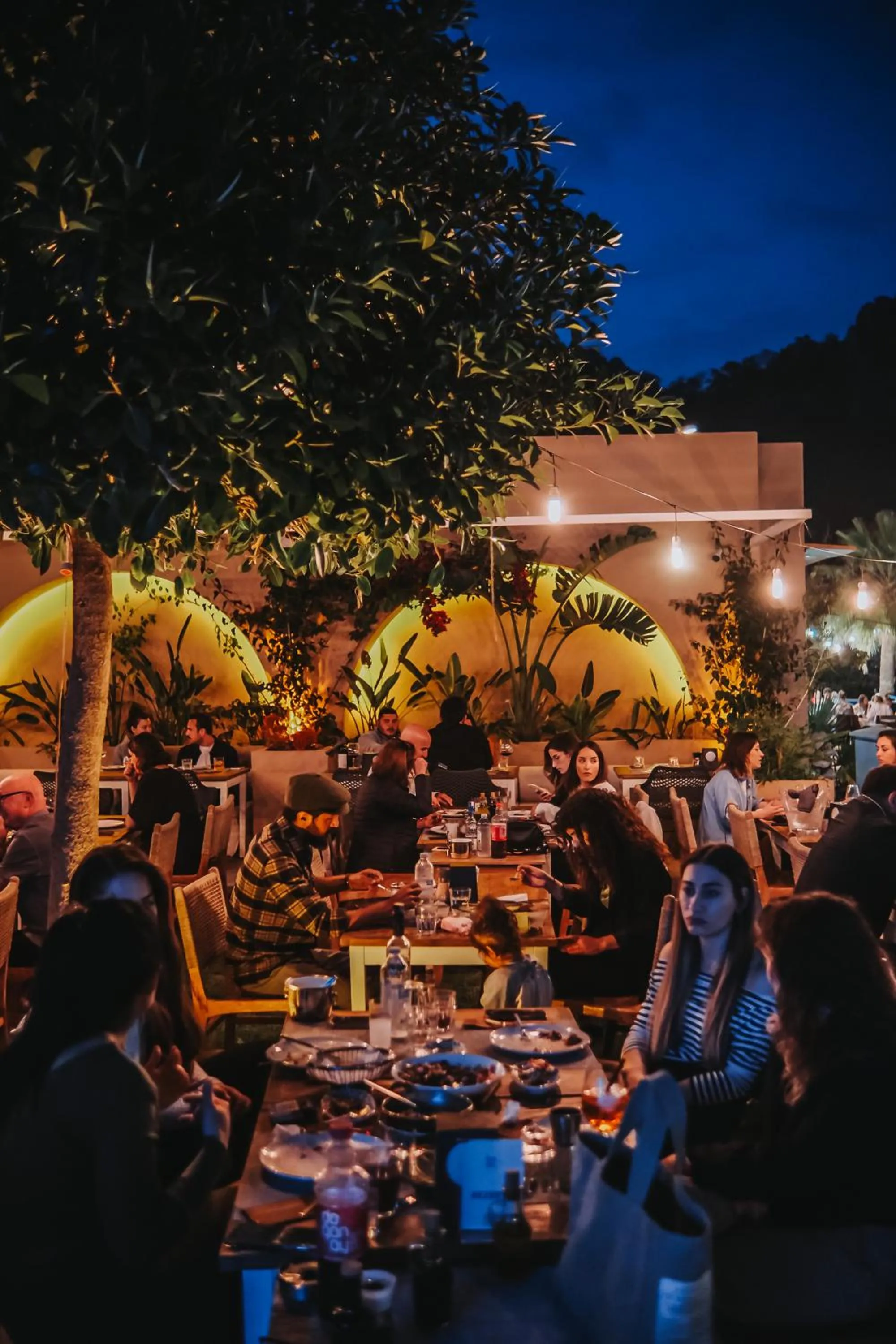 Restaurant/places to eat in The Diplomat Hotel