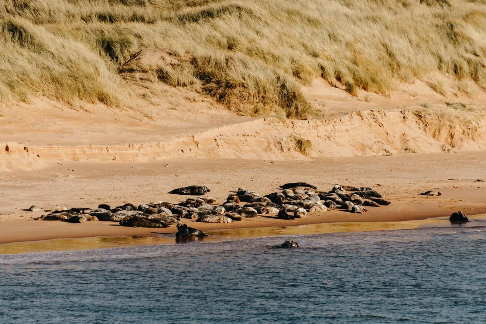 Beach in Udny Arms Hotel