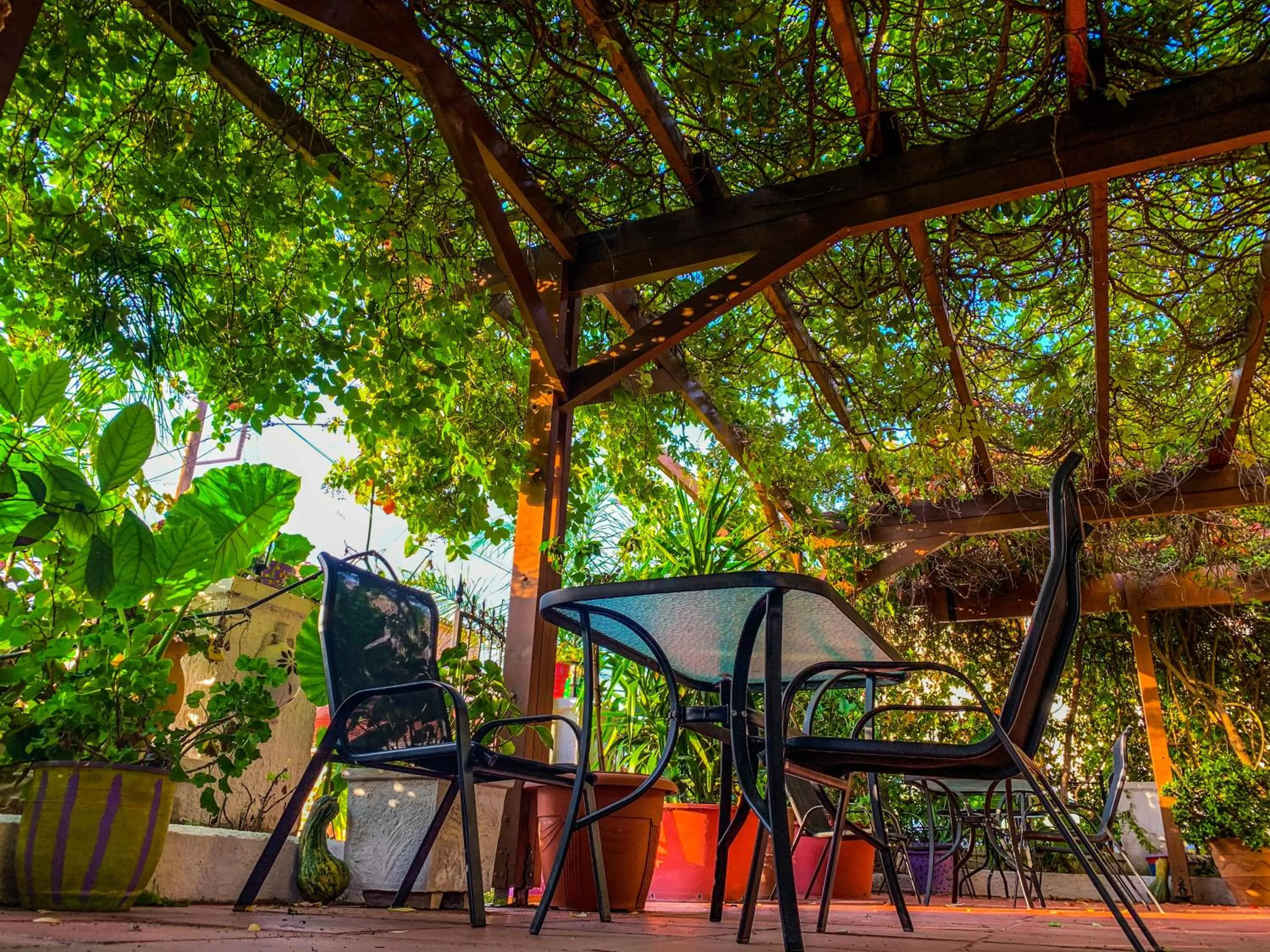 Garden in Ulysses Hotel