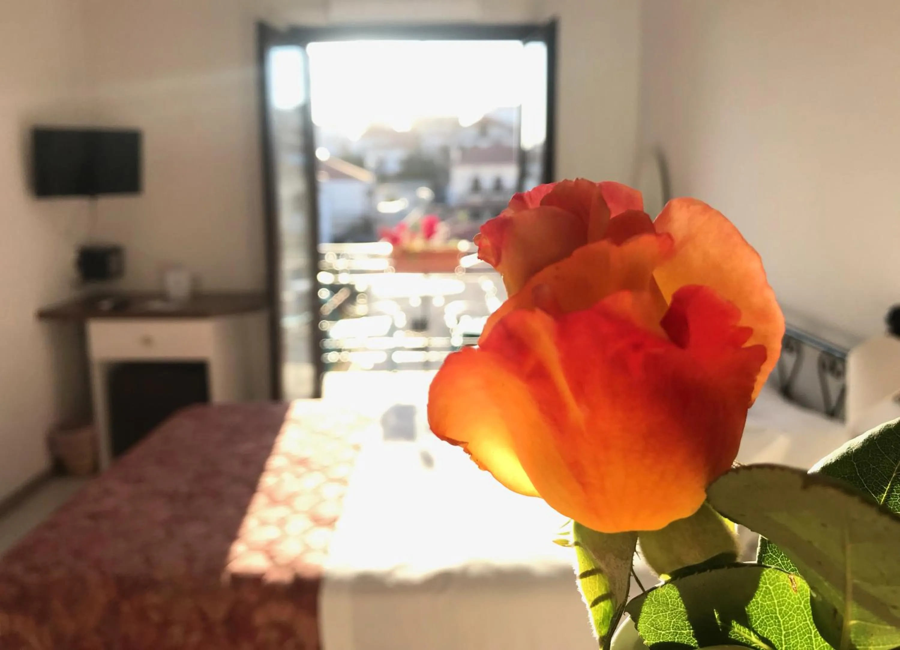 Decorative detail in Ulysses Hotel