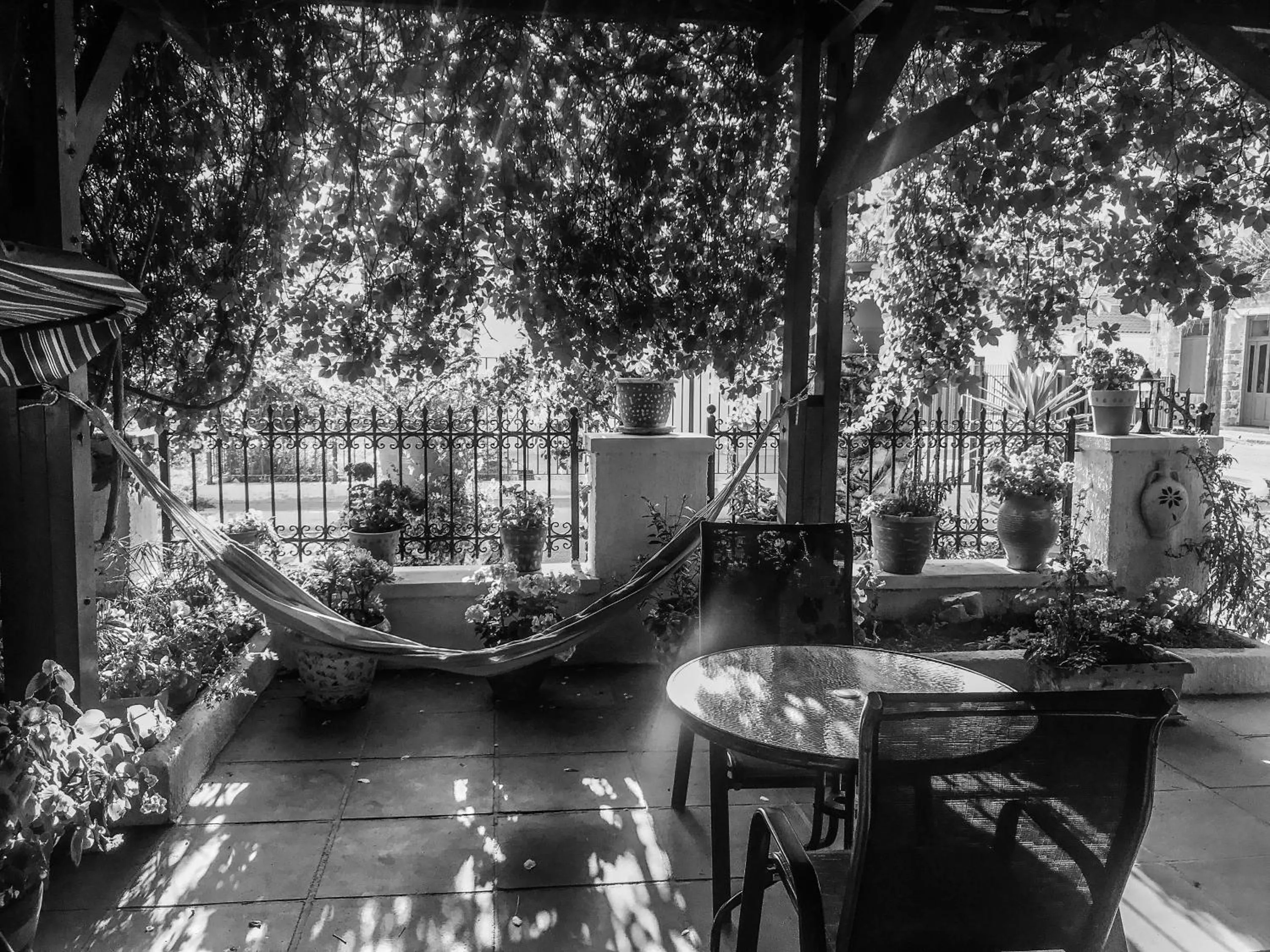 Garden in Ulysses Hotel