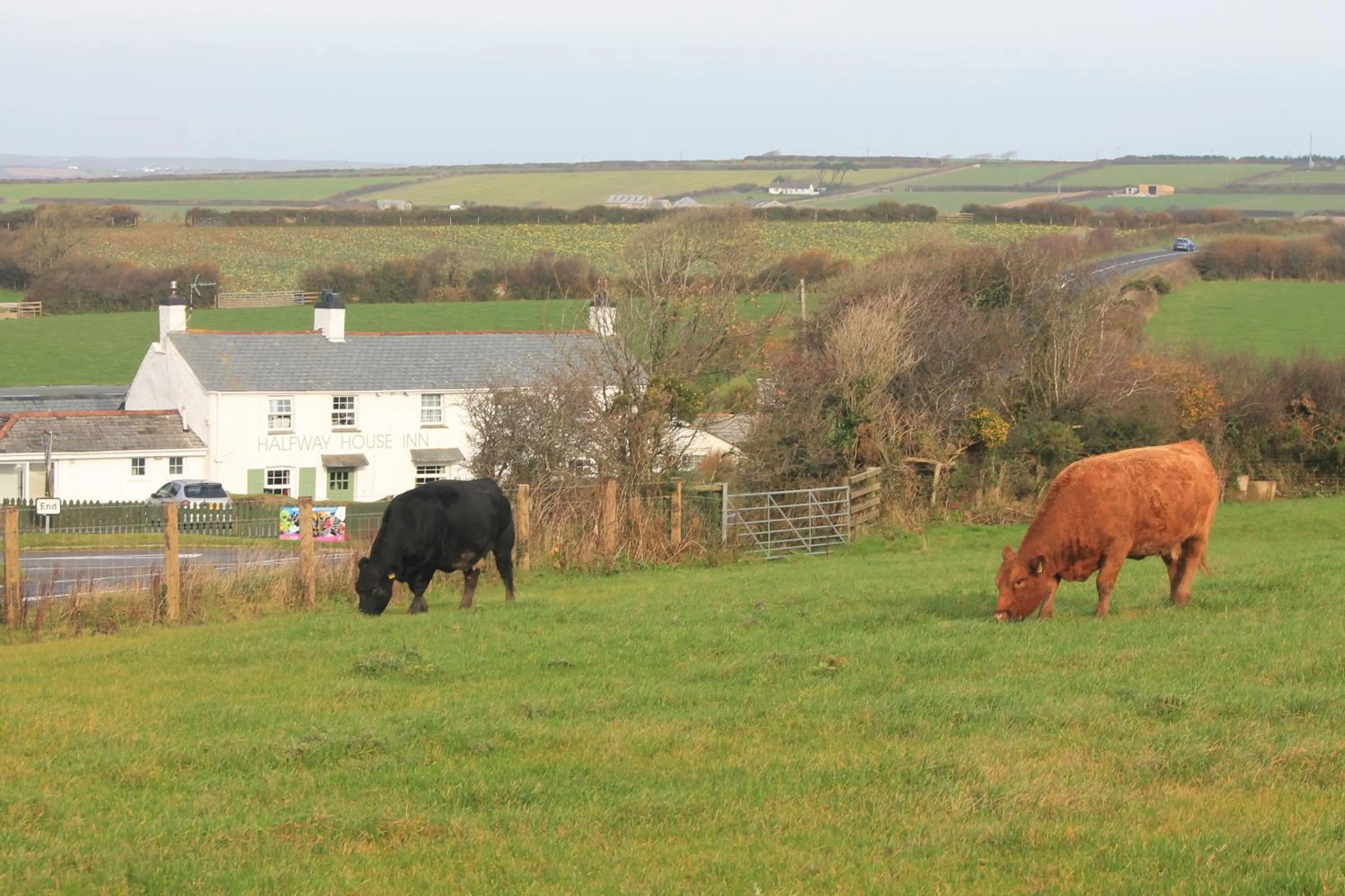 View (from property/room) in Halfway House Inn