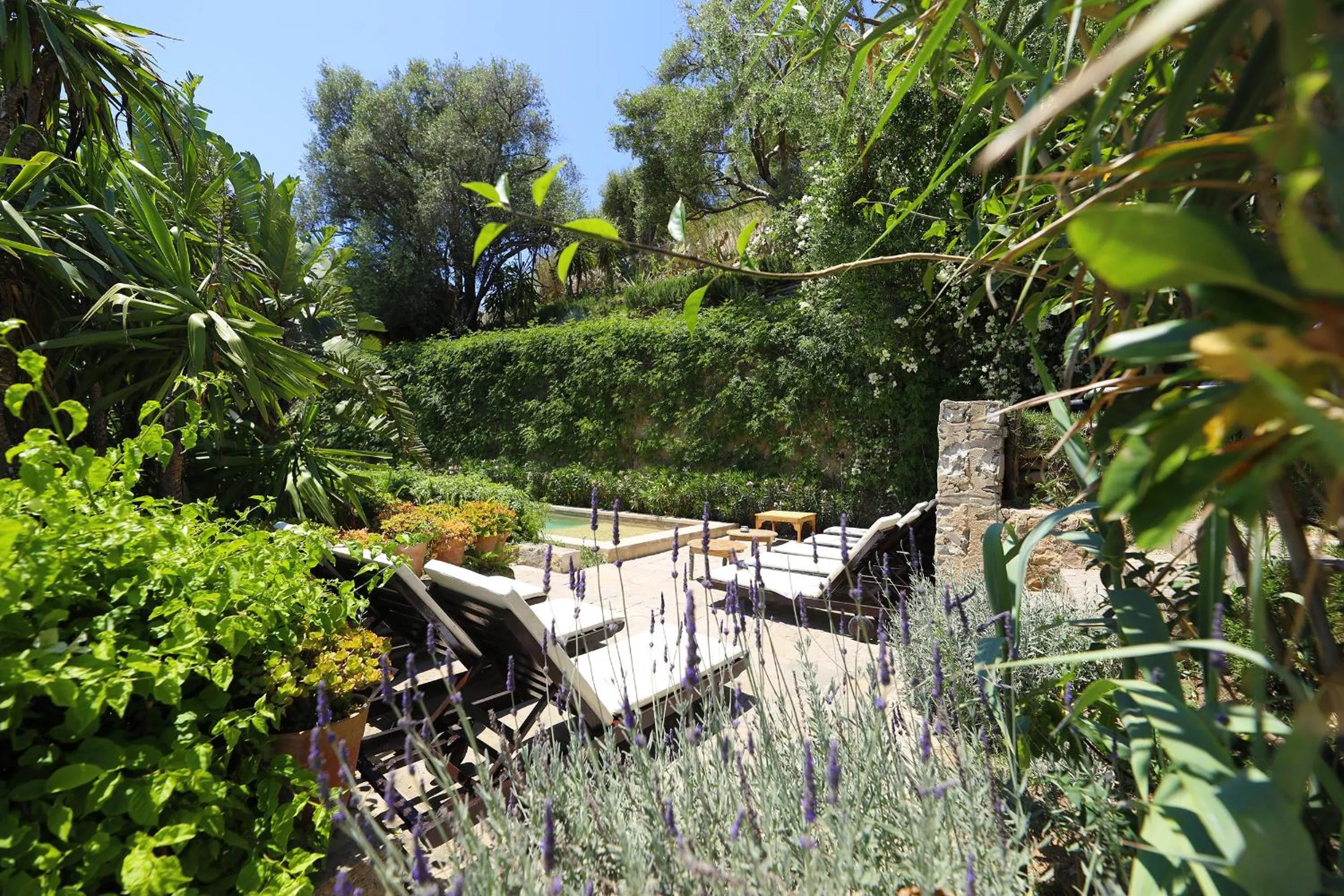 Garden in Mimi Calpe