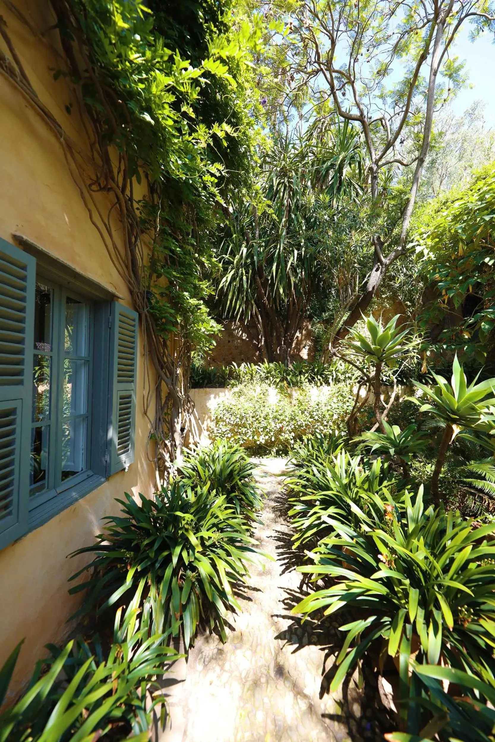 Garden in Mimi Calpe