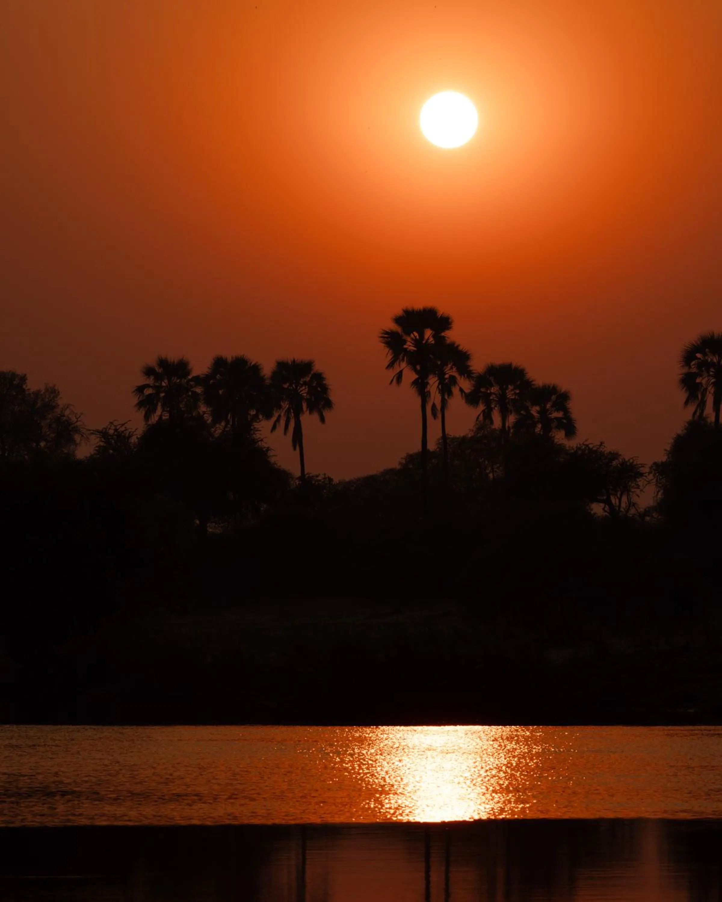 Sunset in Zambezi Dusk River Facing-all inclusive-Luxury Accommodation