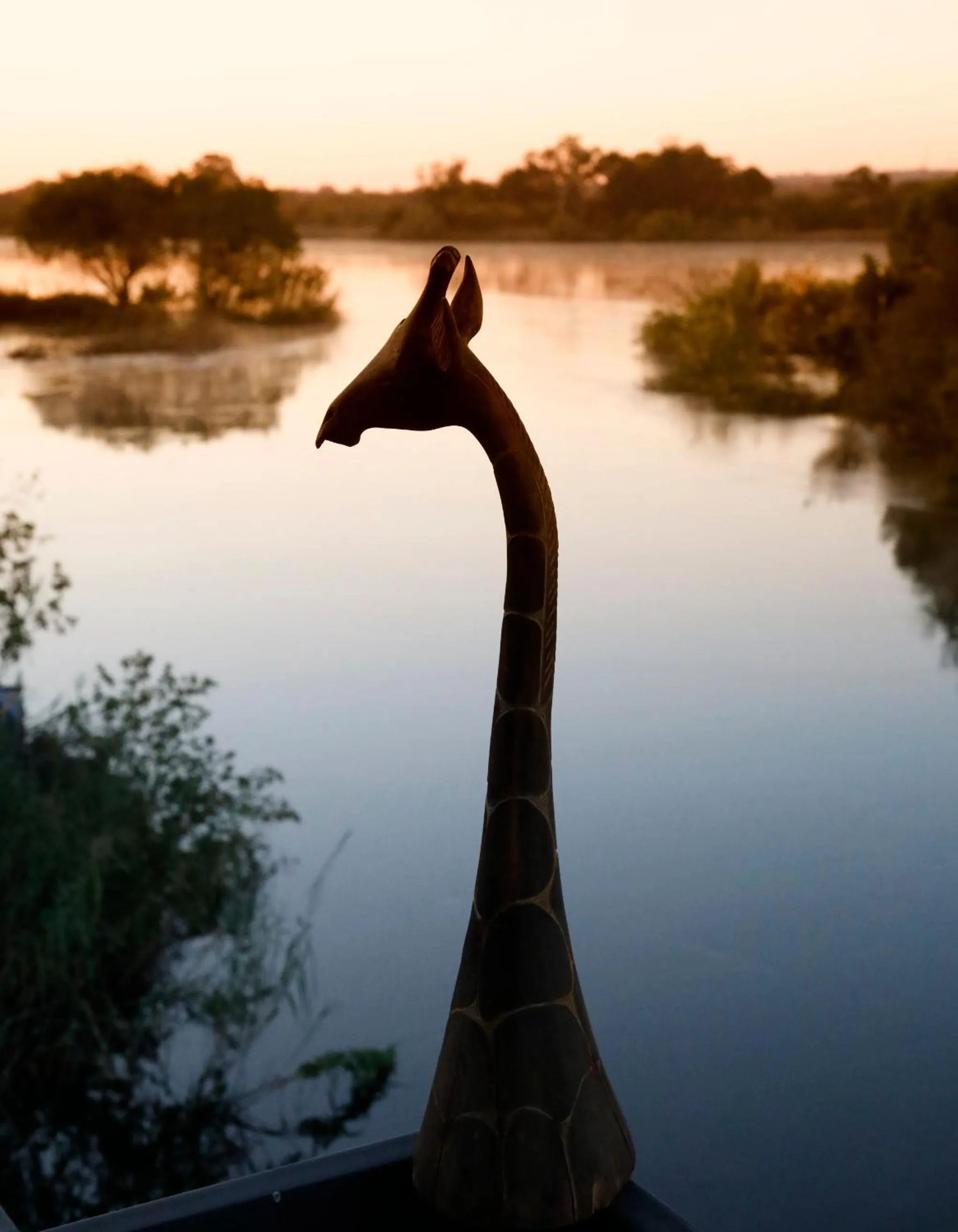Restaurant/places to eat in Zambezi Dusk River Facing-all inclusive-Luxury Accommodation