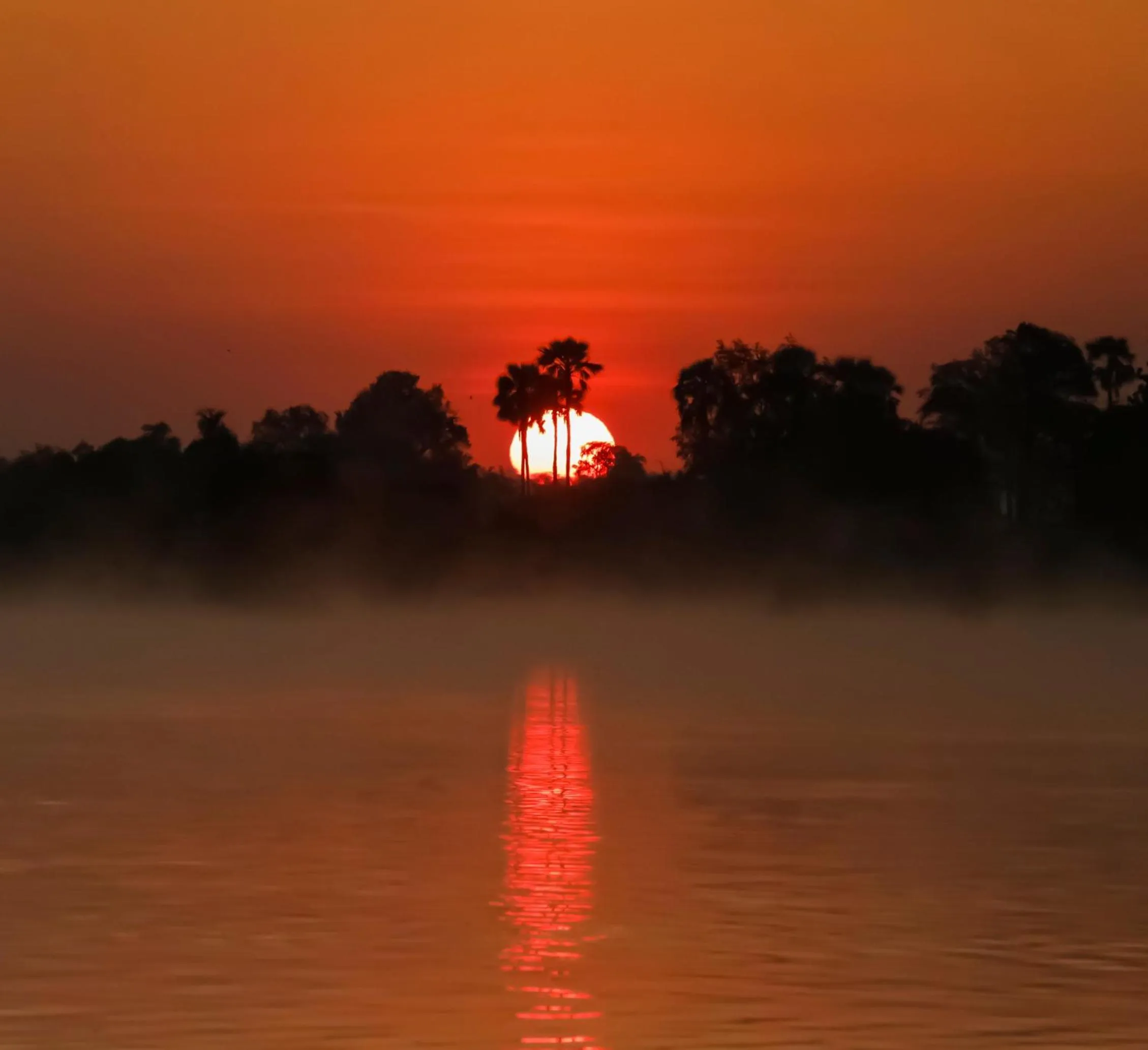 Natural landscape in Zambezi Dusk River Facing-all inclusive-Luxury Accommodation