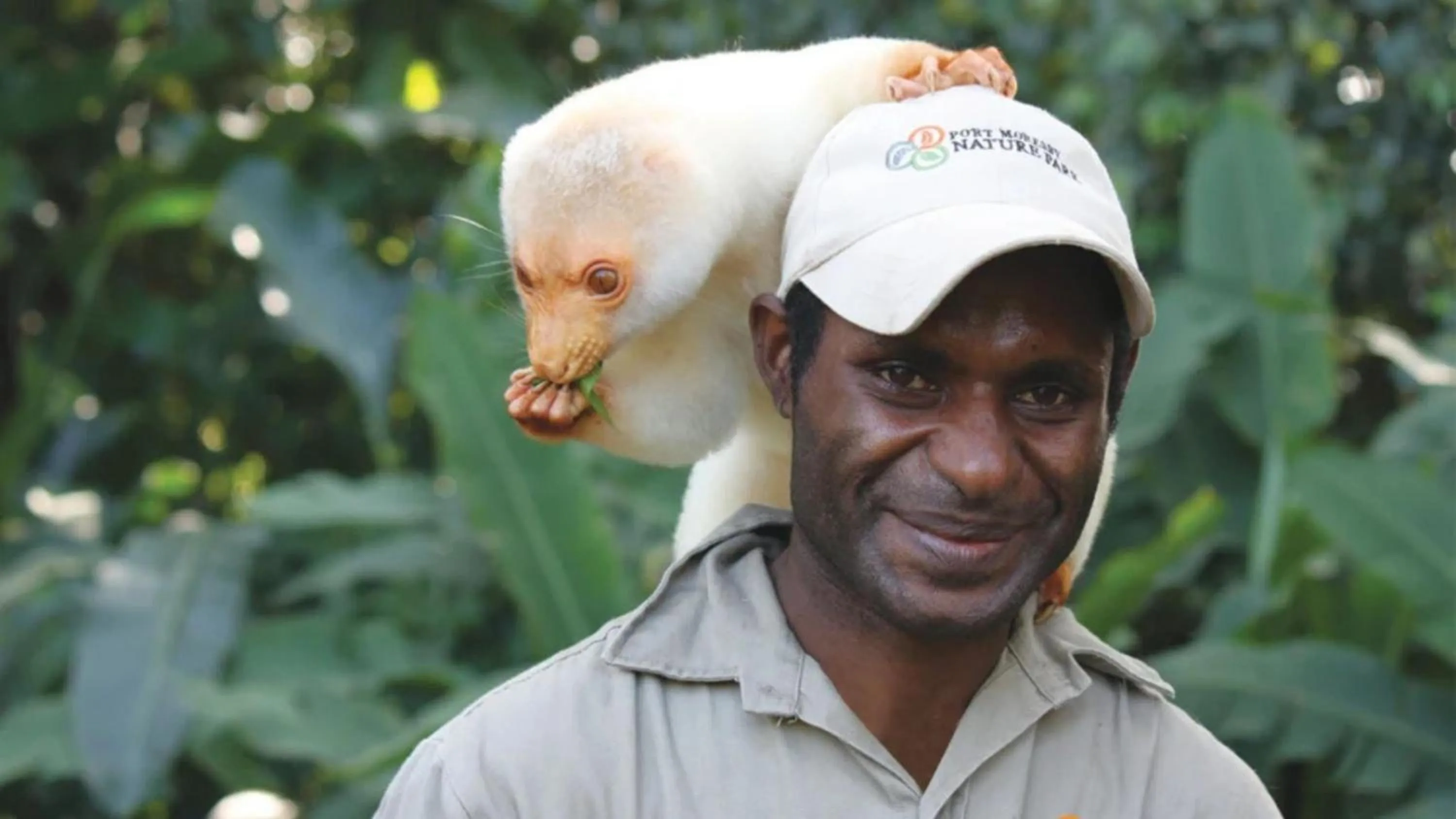 Area and facilities in Holiday Inn Express Port Moresby by IHG