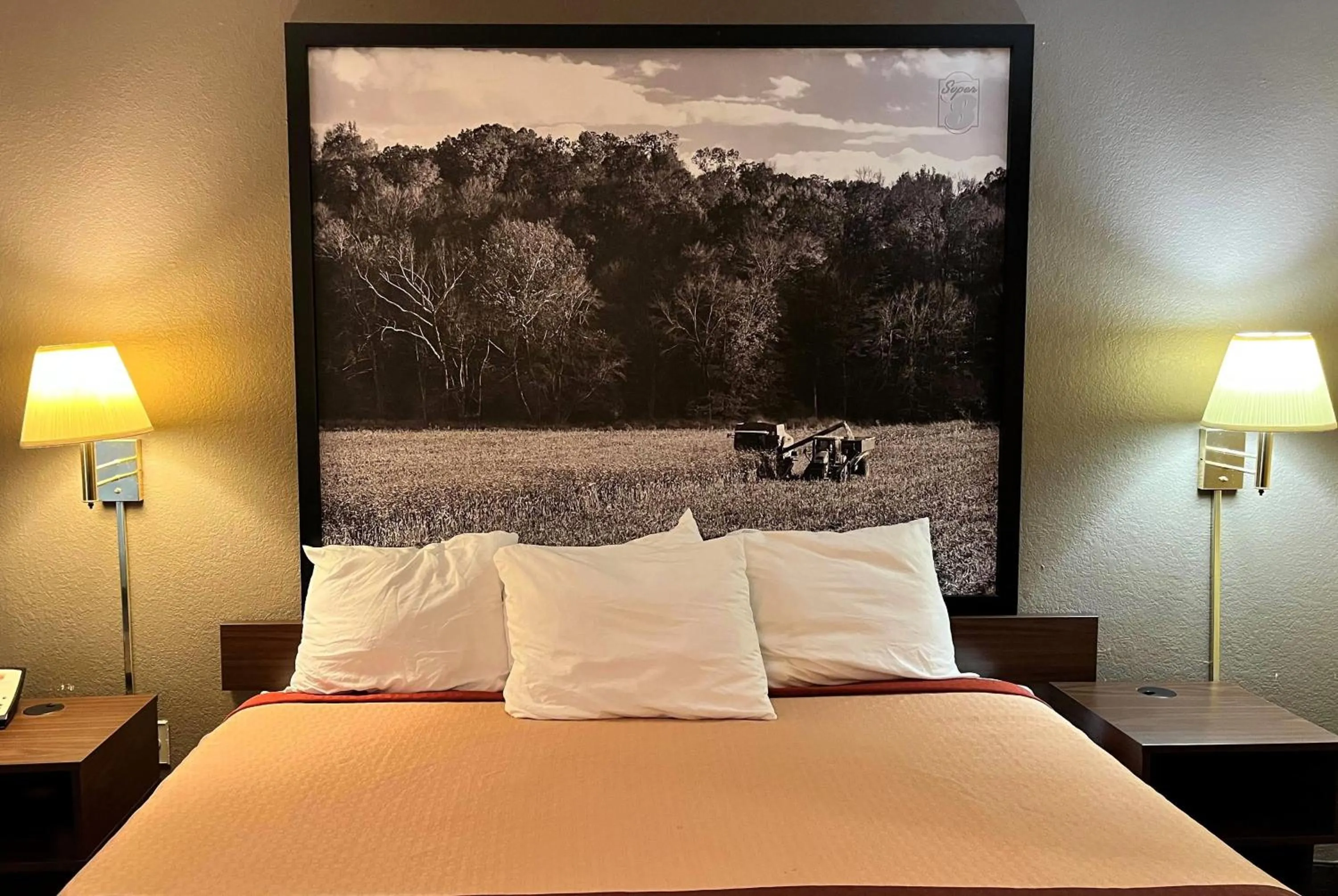 Photo of the whole room, Bed in Super 8 by Wyndham Evansville North