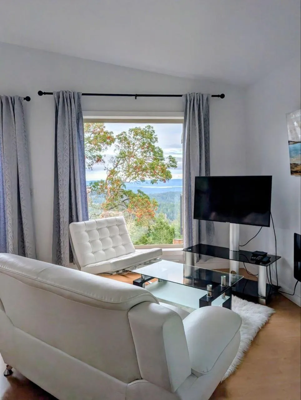 TV and multimedia in Armand Heights