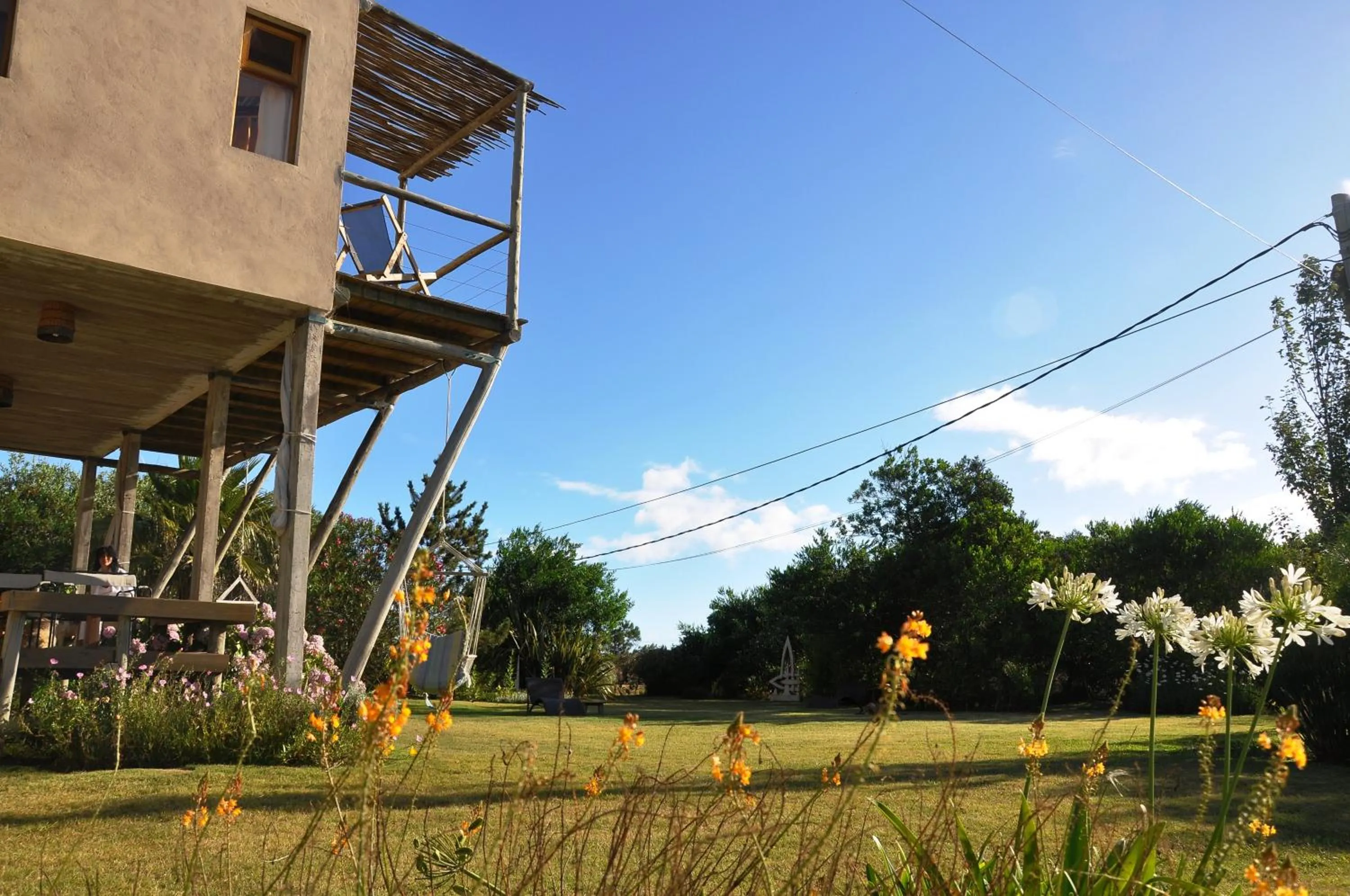 Garden view in Hale Lau