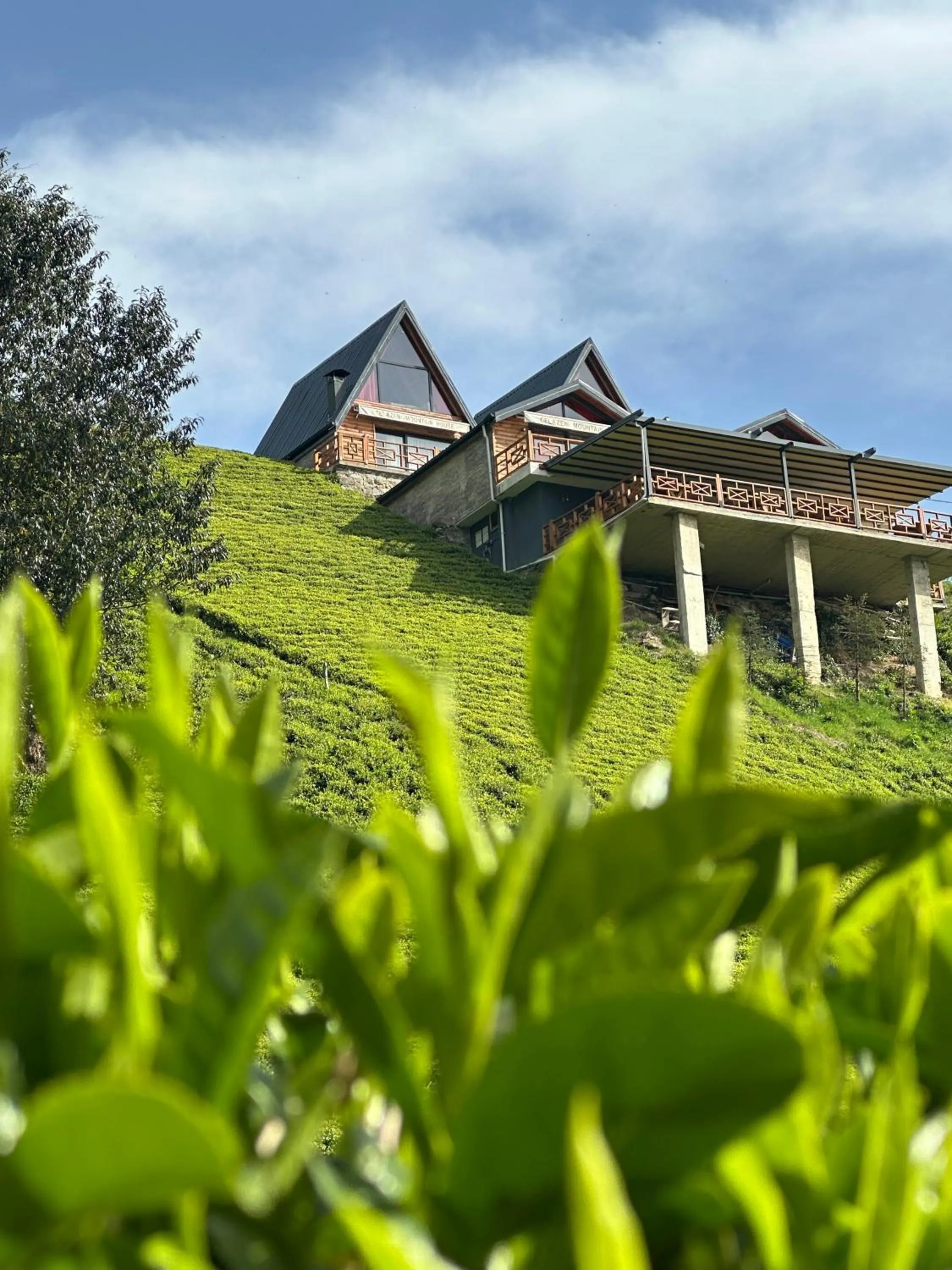 Garden in PUGARi HOTEL