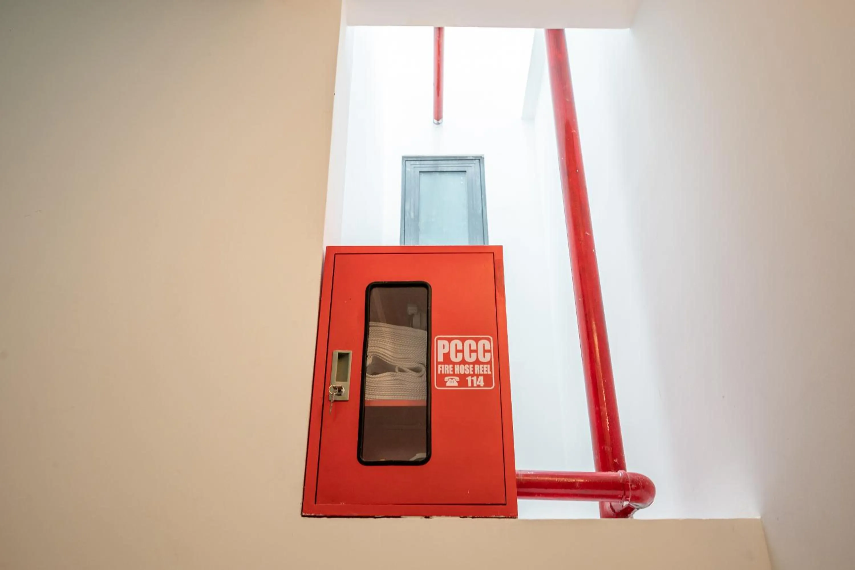 flat iron in Cozrum Home - Daisy House