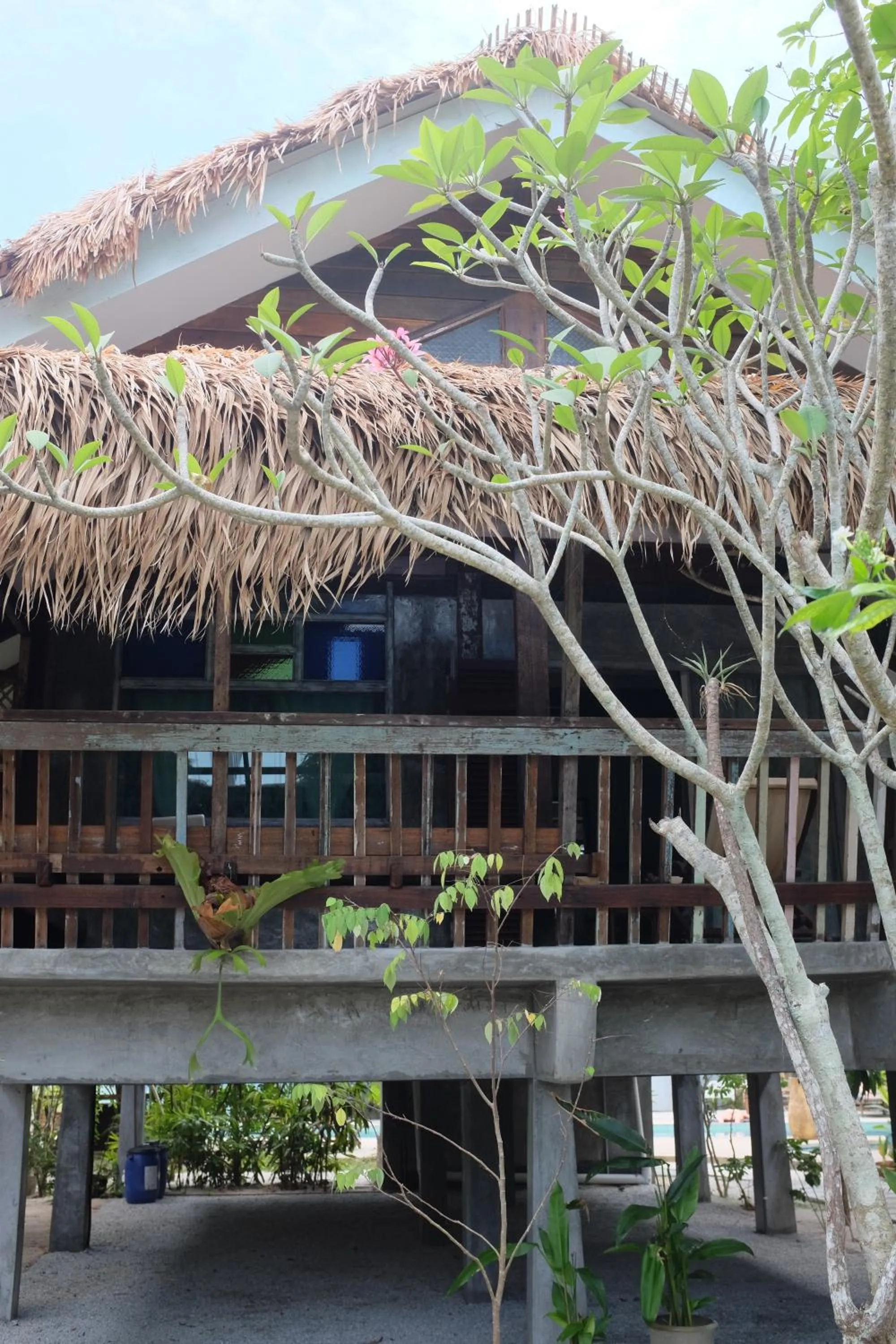 Garden view in Panji Panji Tropical Wooden Home