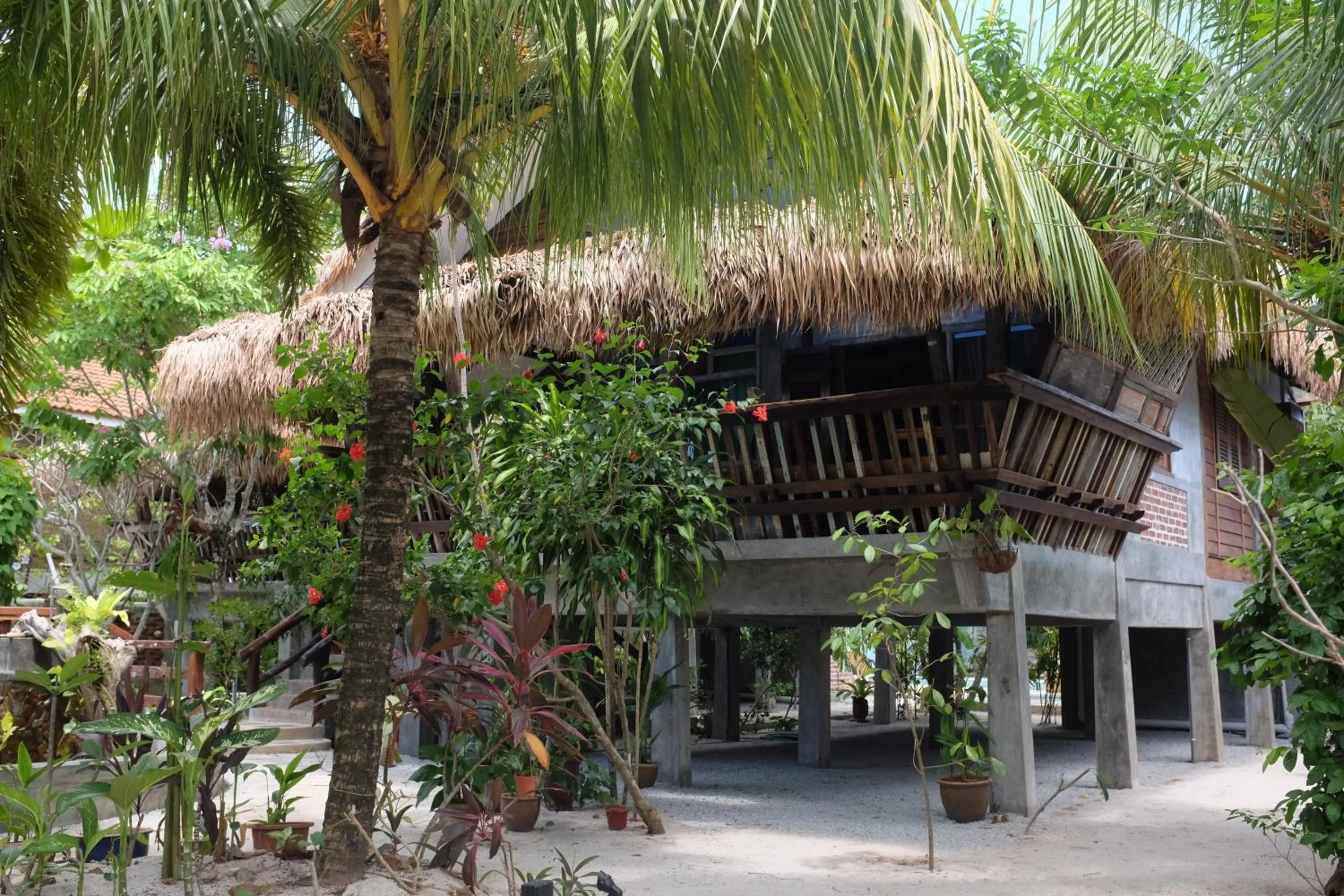 Garden view in Panji Panji Tropical Wooden Home