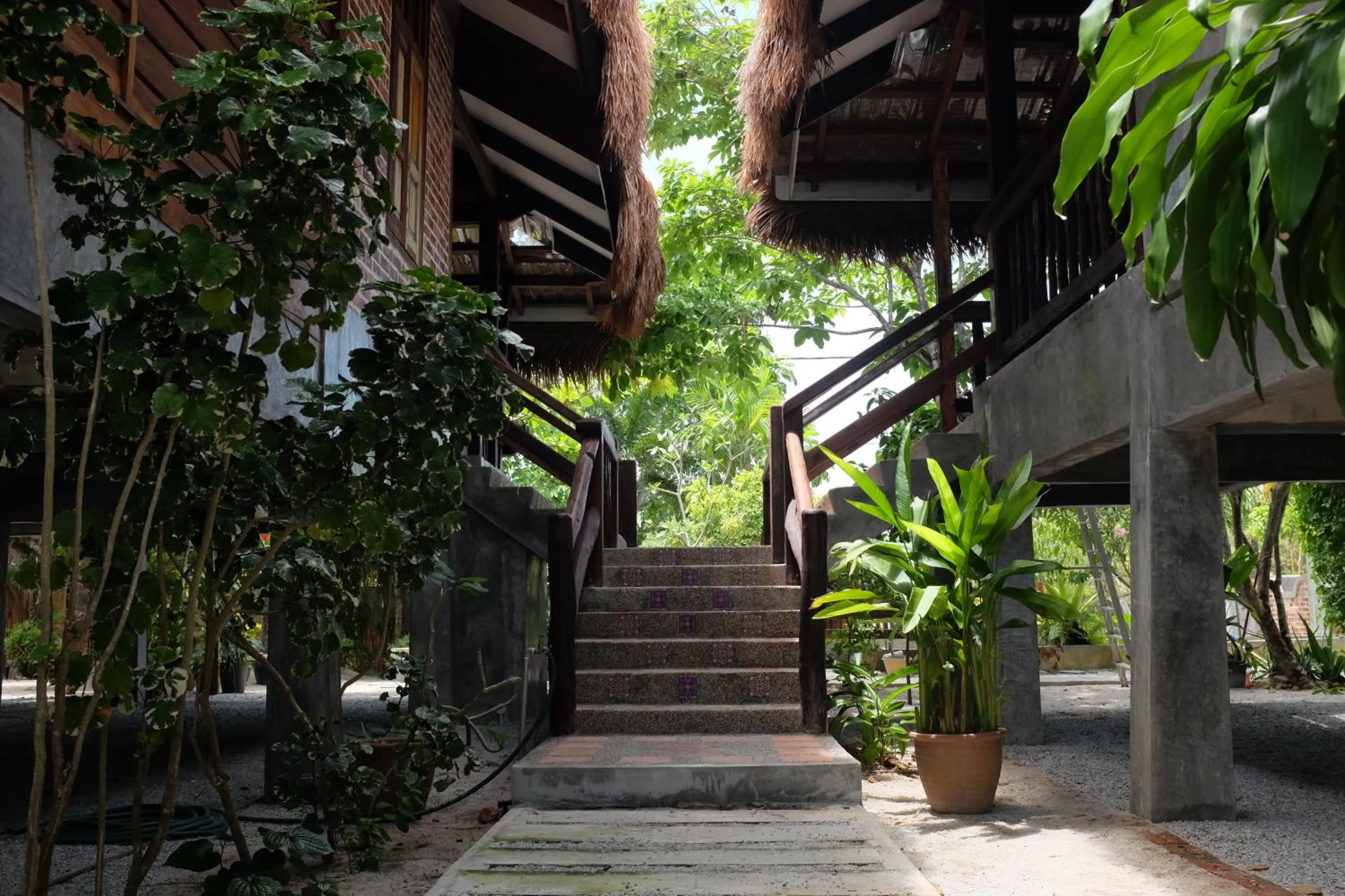 Garden view in Panji Panji Tropical Wooden Home