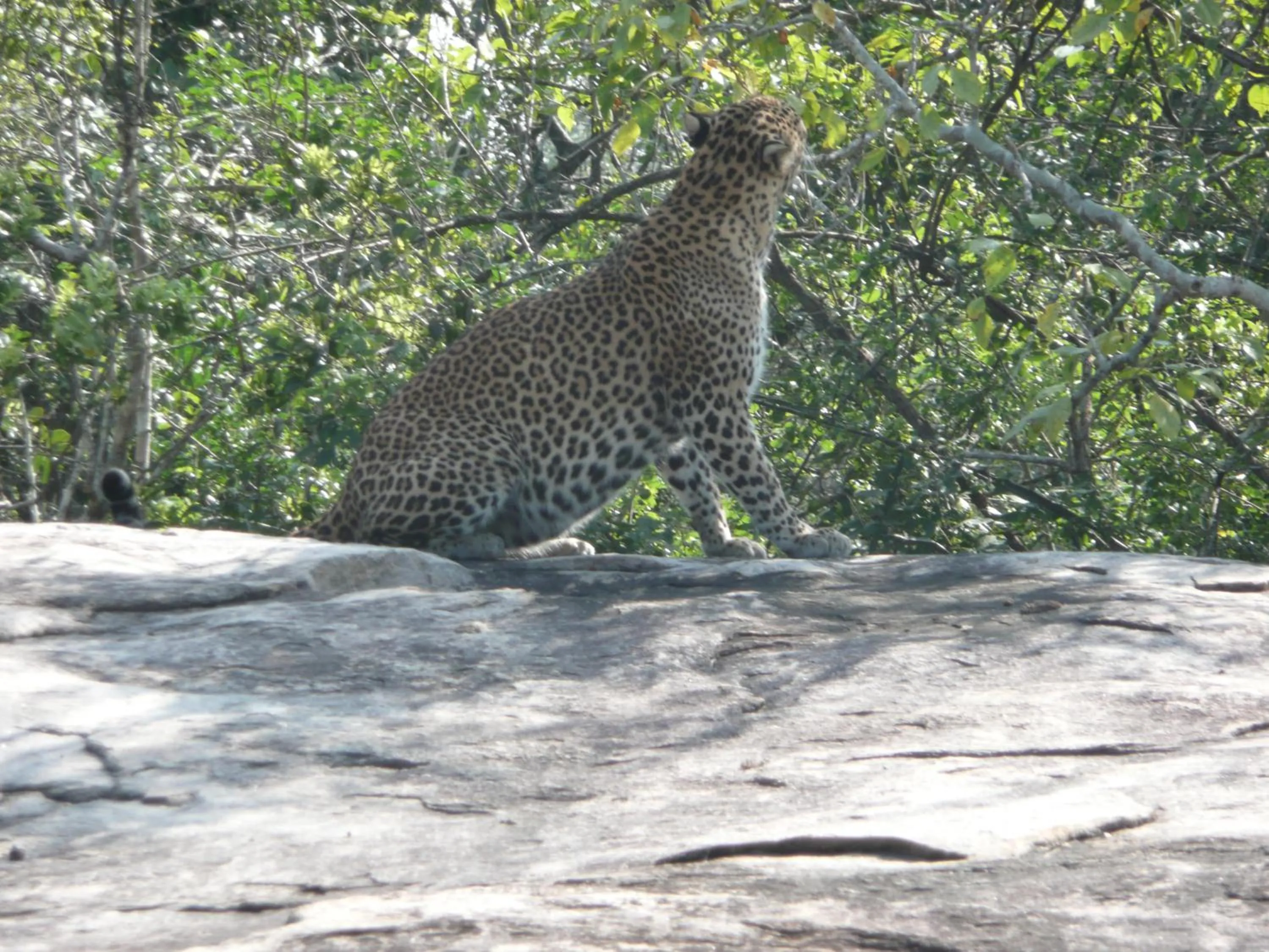 Day in Traveller's Home Hotel