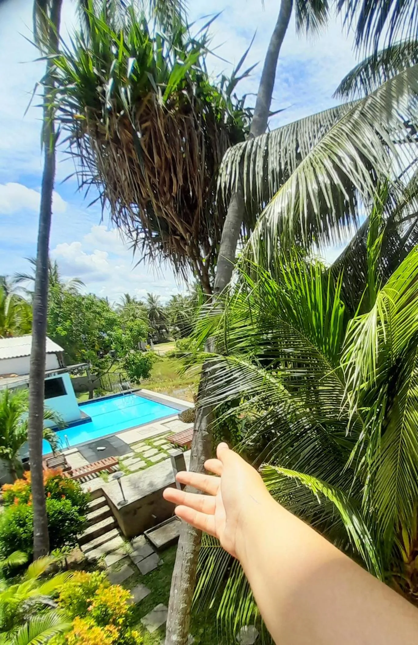 sunbed in Traveller's Home Hotel