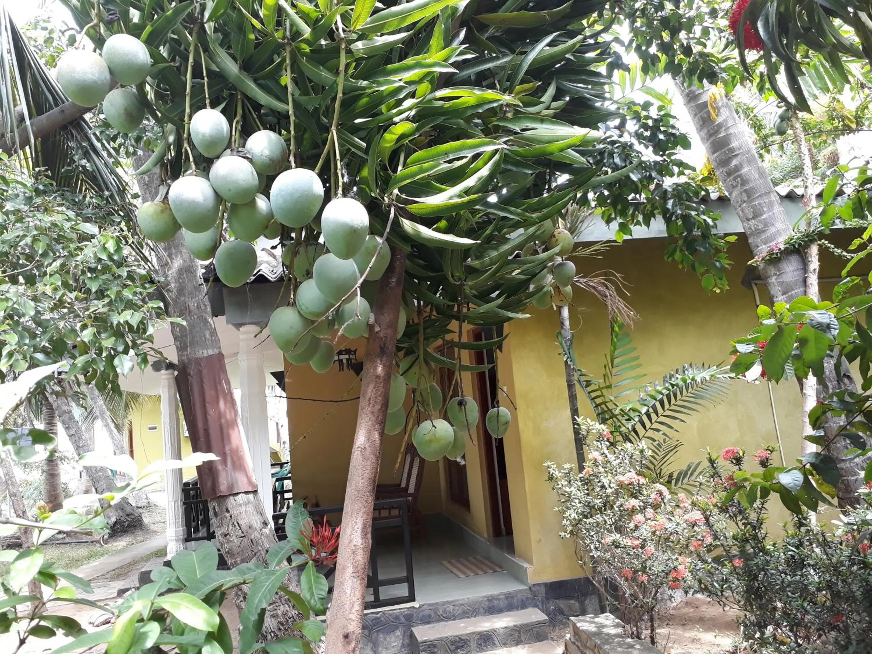 Garden view in Traveller's Home Hotel