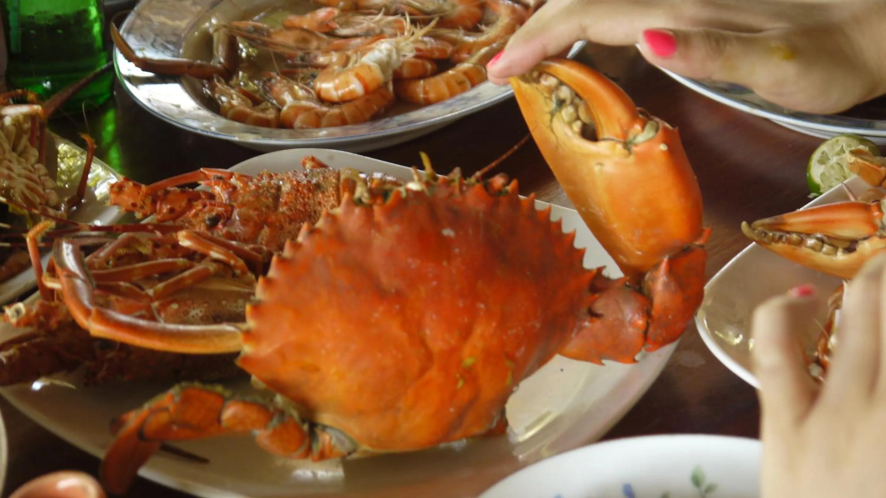 Food close-up in Traveller's Home Hotel