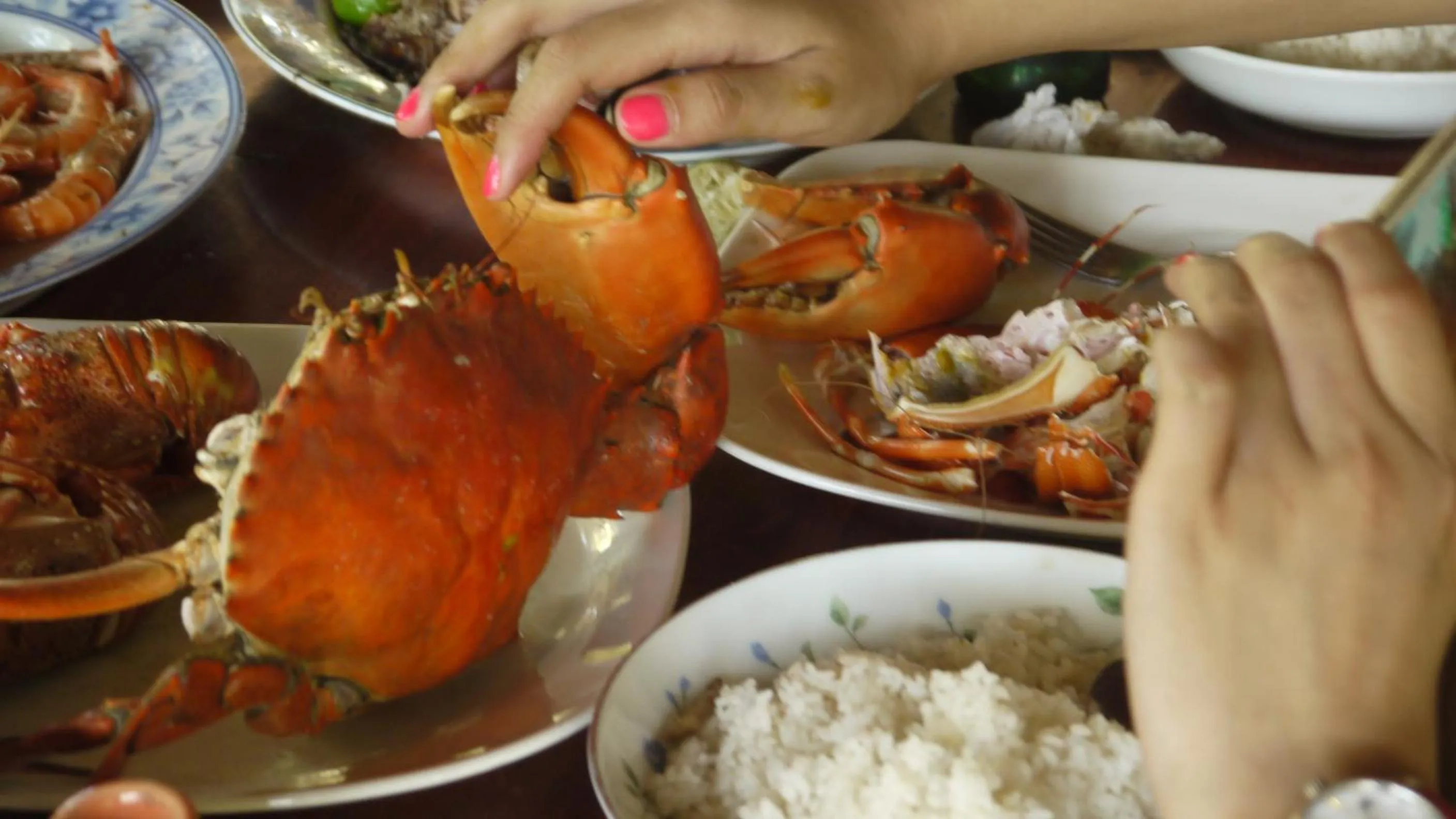 Restaurant/places to eat in Traveller's Home Hotel