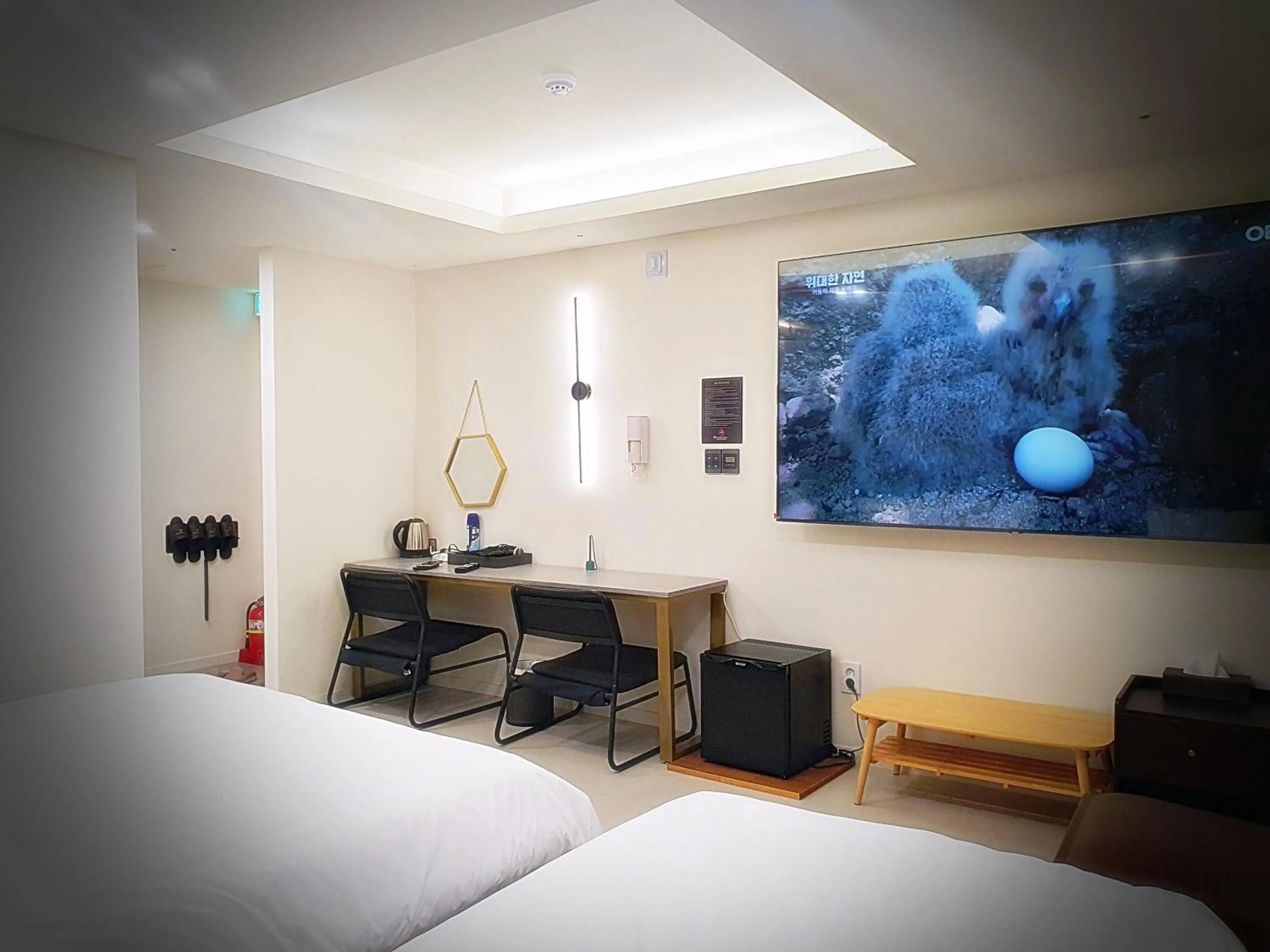 Photo of the whole room, Bed in Bluebird Hotel