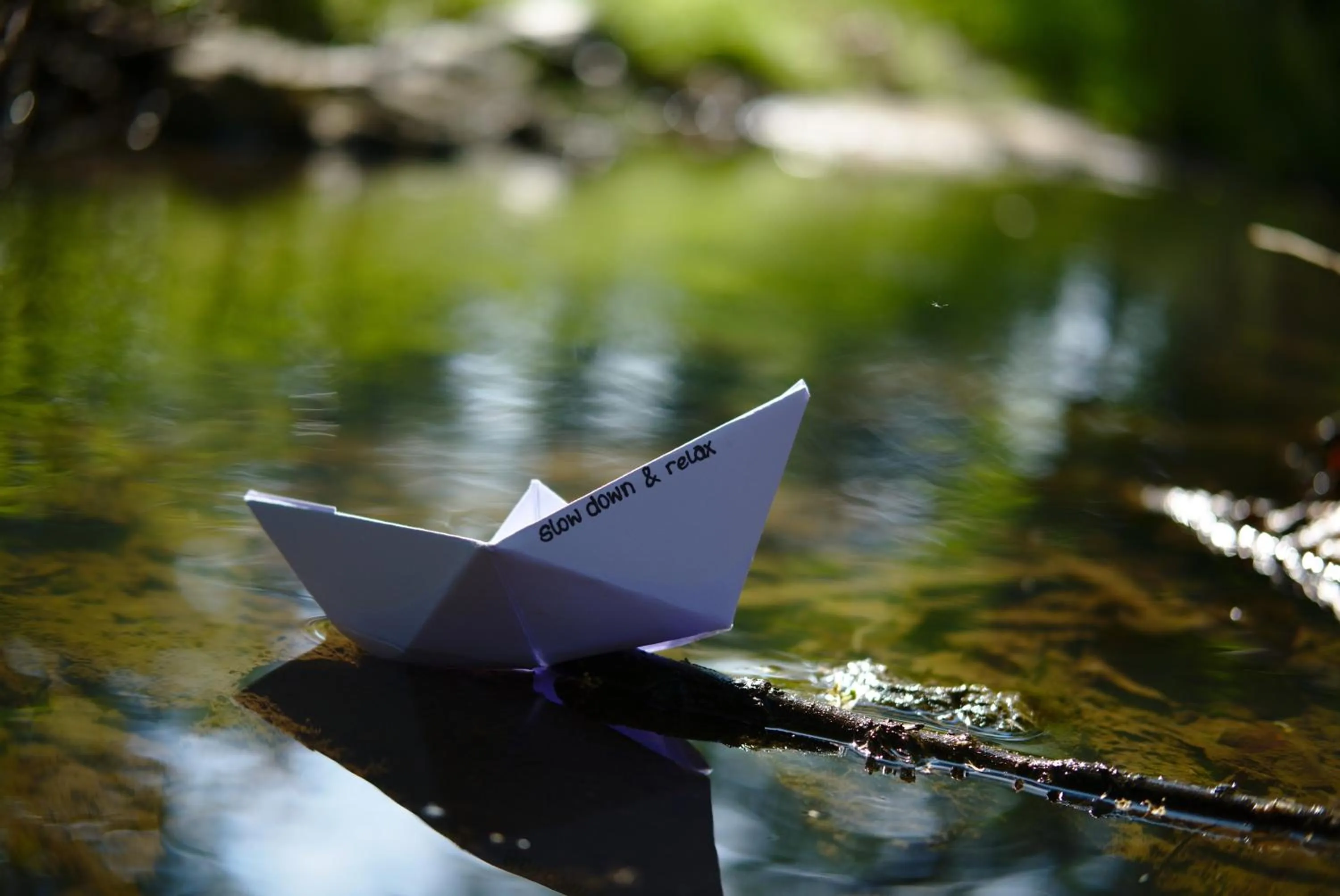 Staff in Ferien beim Treiber
