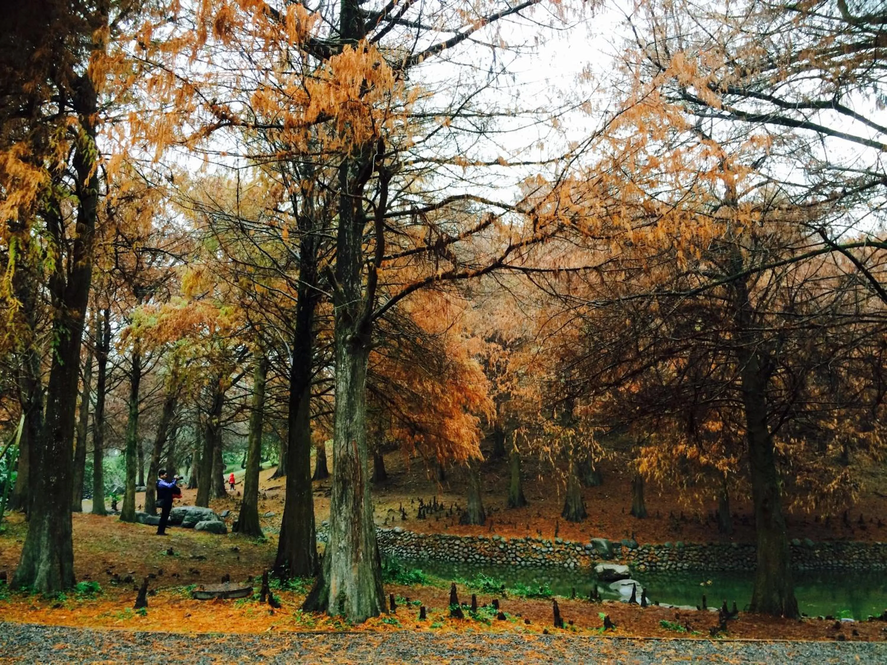 Nearby landmark in Mystery13