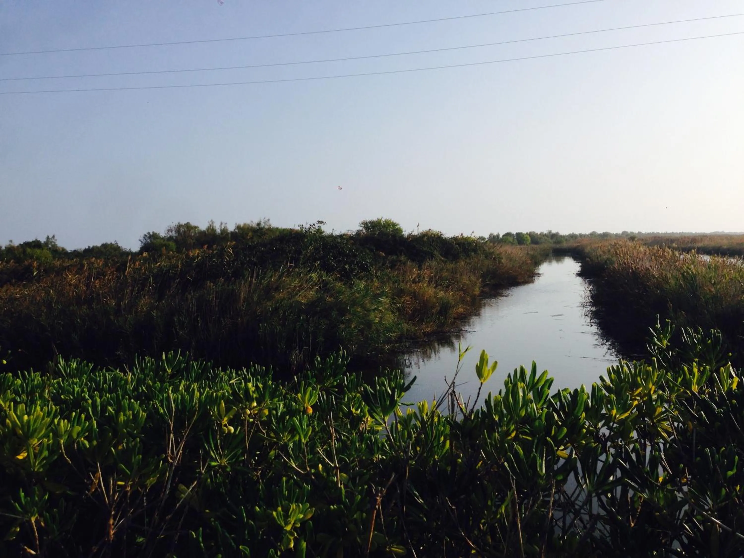 Natural landscape in Il Paradello Albergo