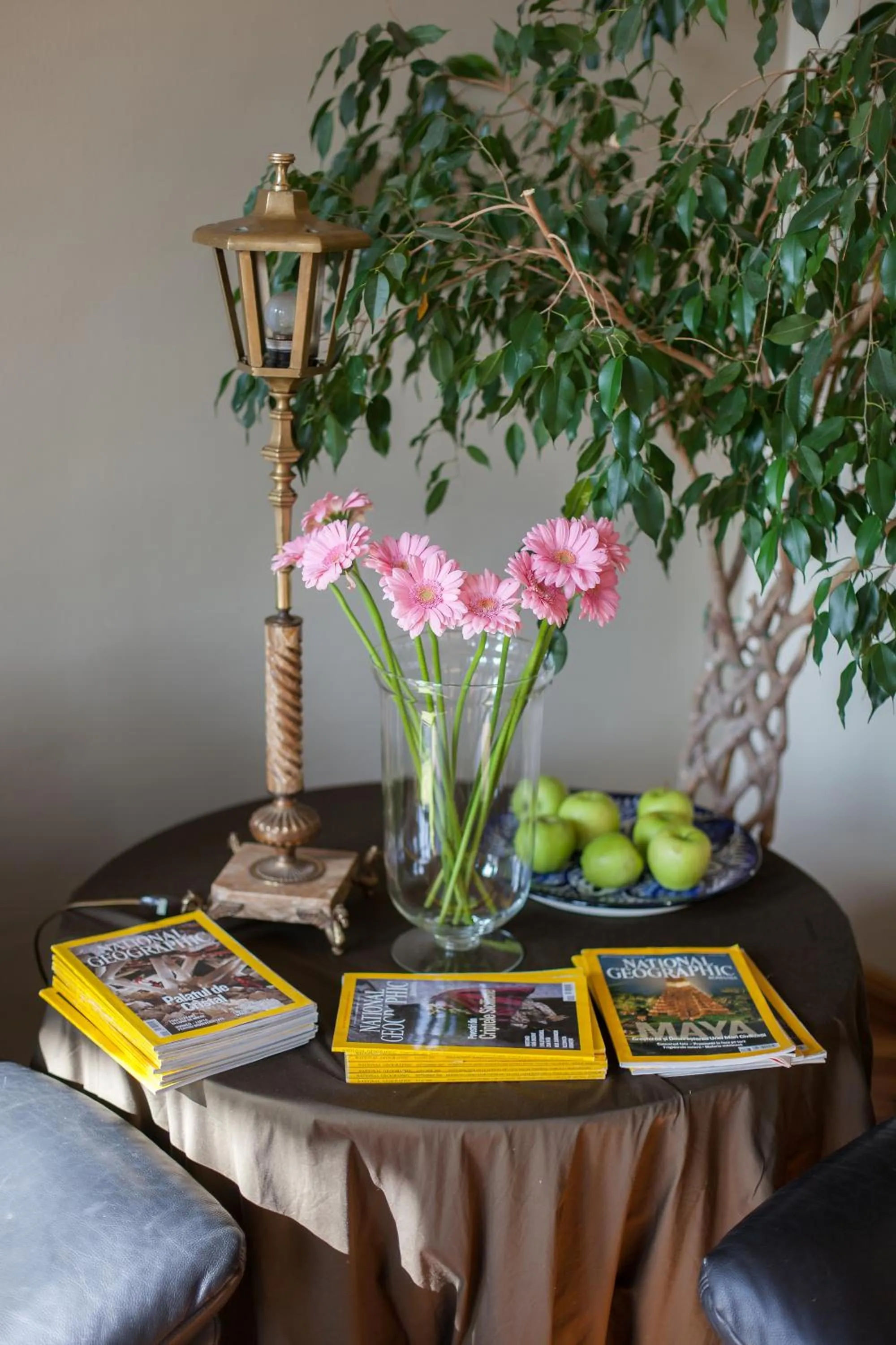 Food and drinks in Camino Home