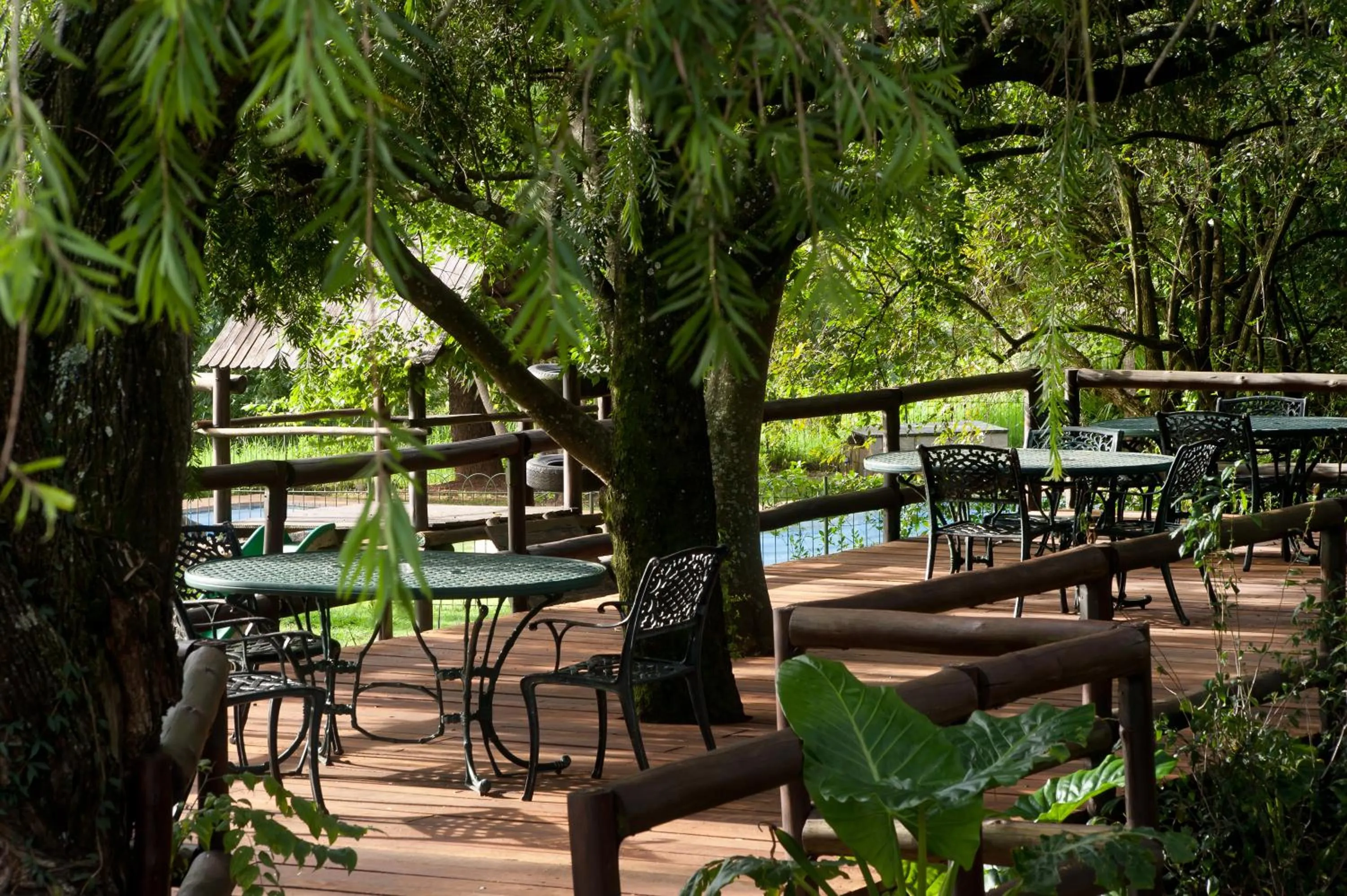 Children play ground in Ardmore Guest Farm
