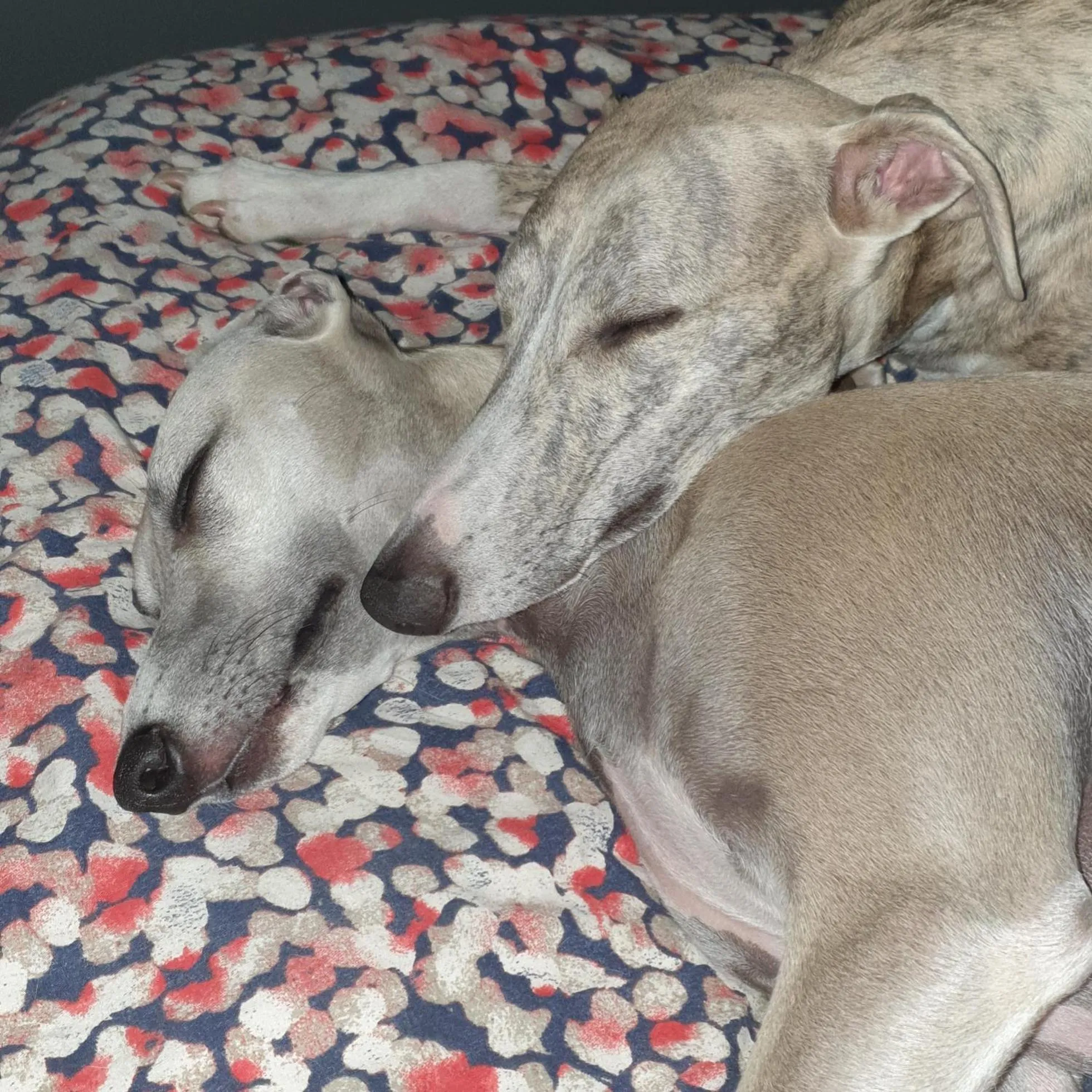 Hotel Le Bon Laboureur