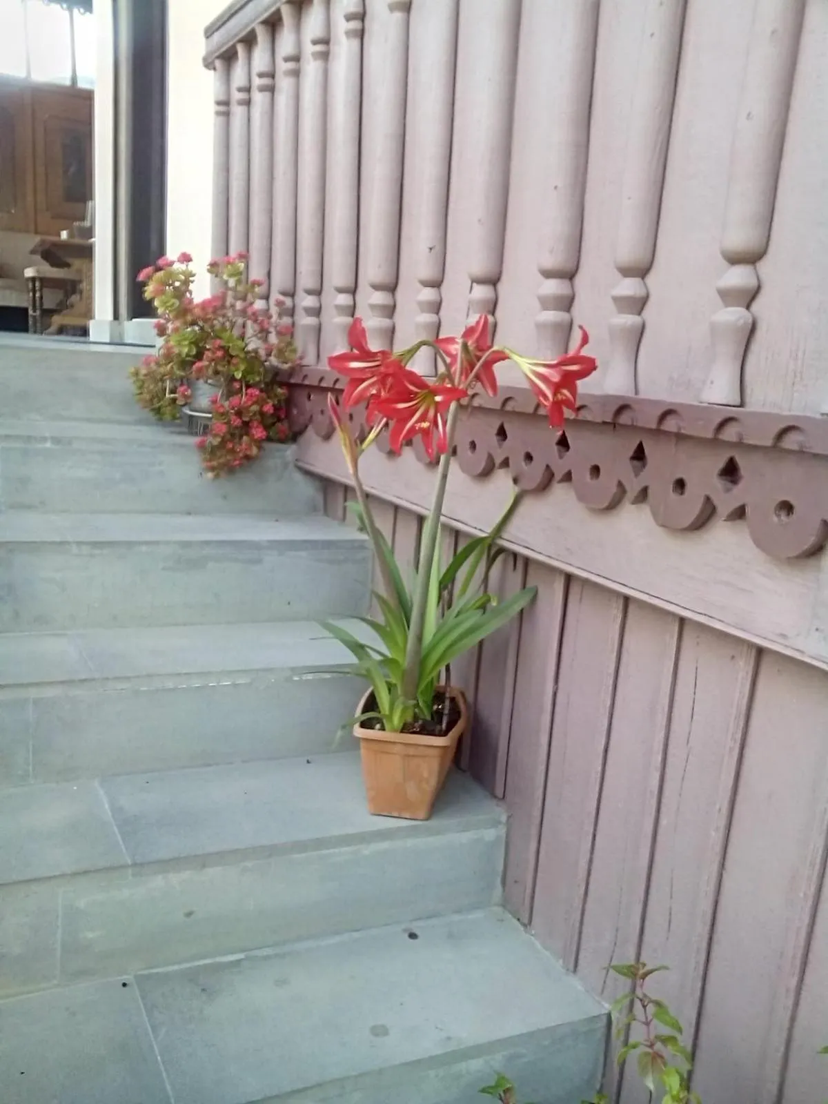 Property building in ARTSIV Guesthouse