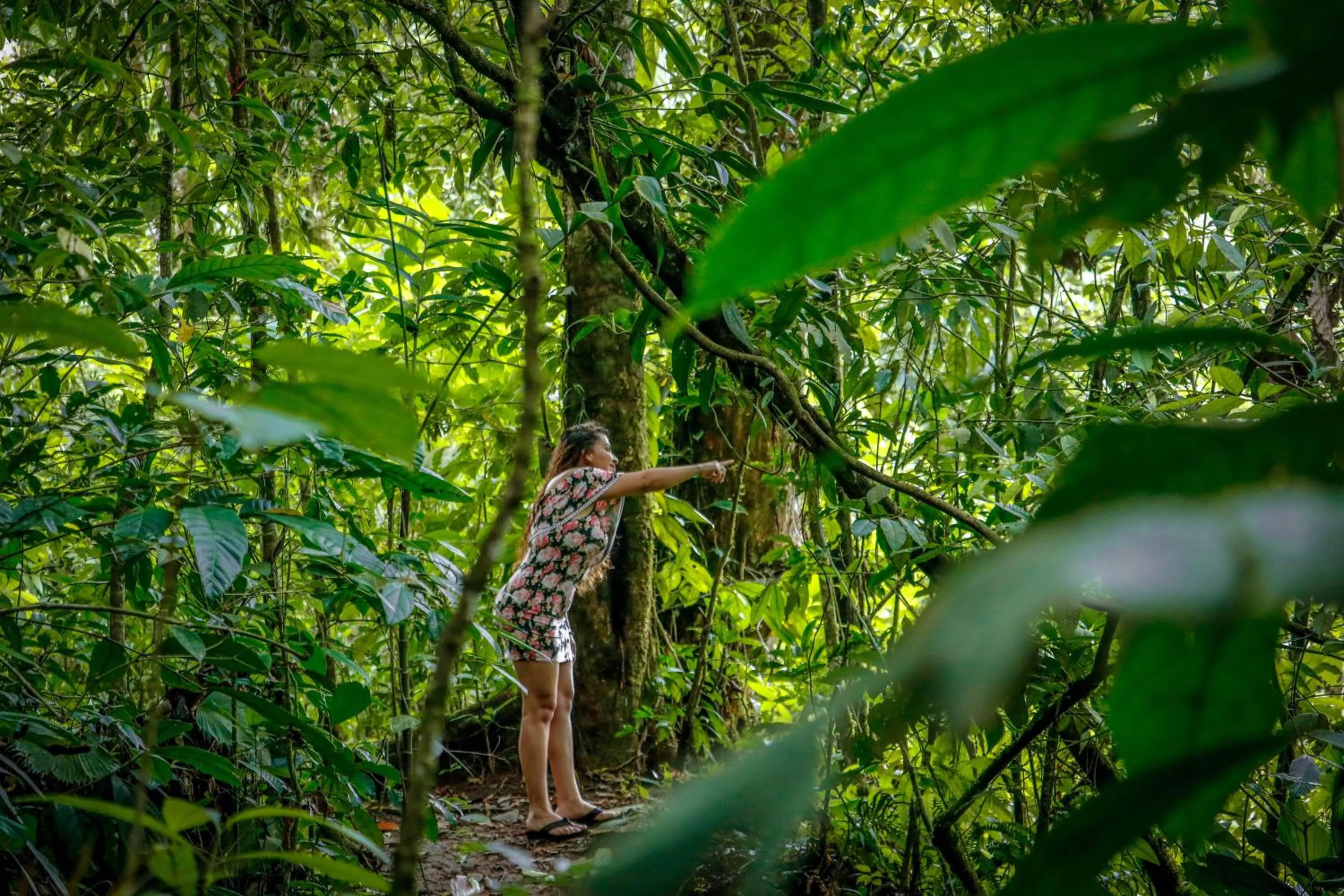 Day in Recreo Verde Hot Springs & Spa